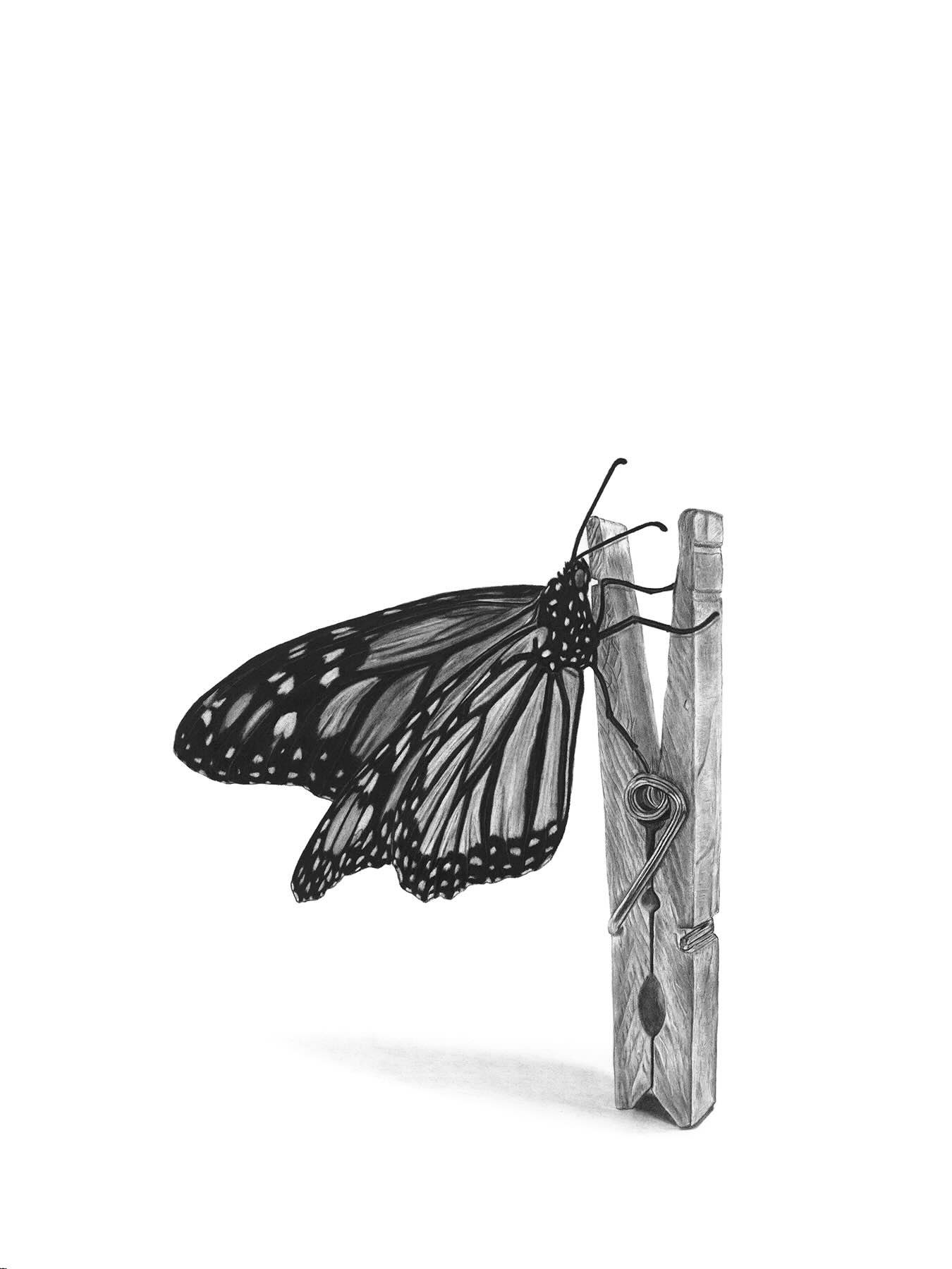The Peg
