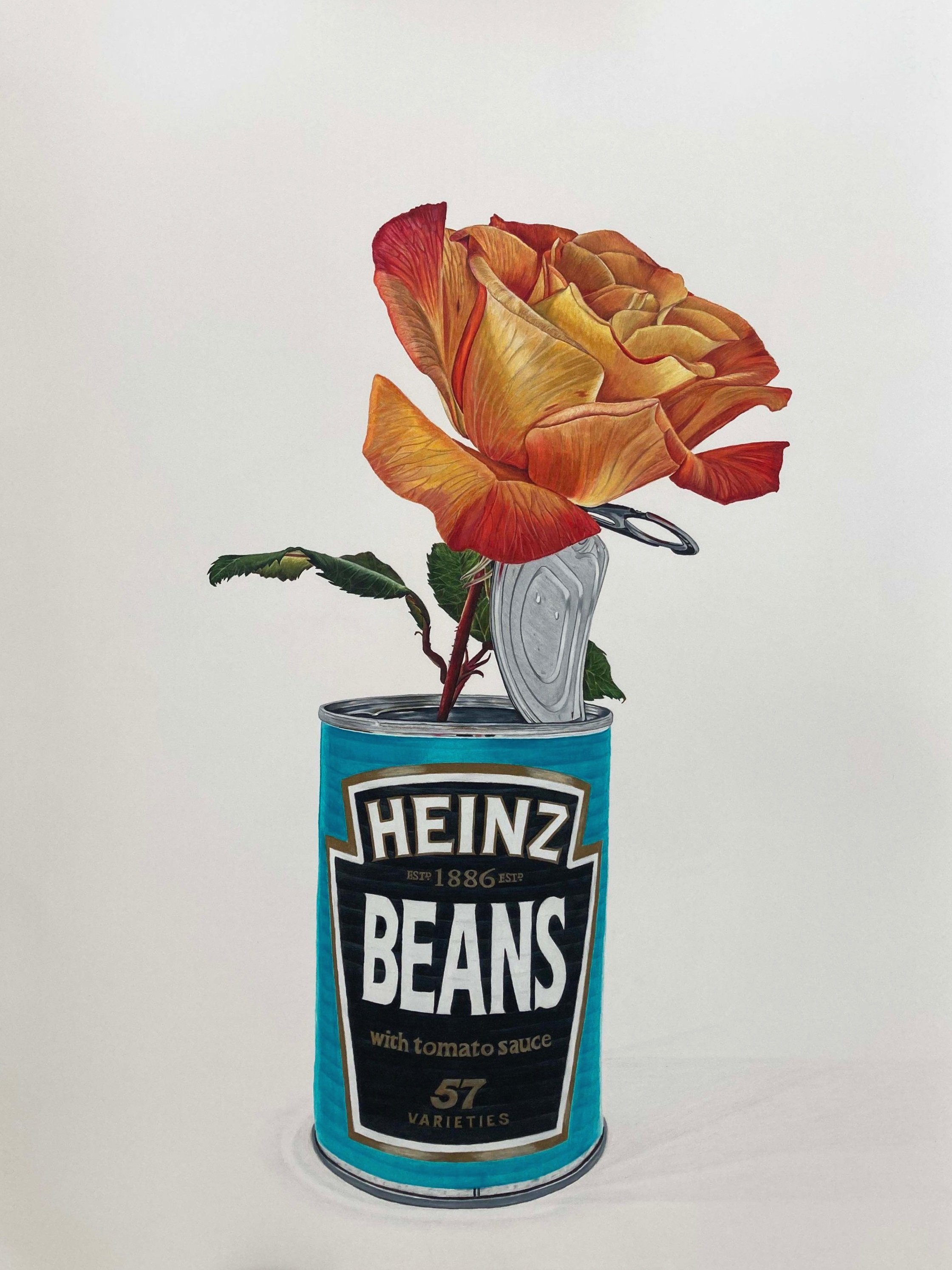 Tin o' Beans
