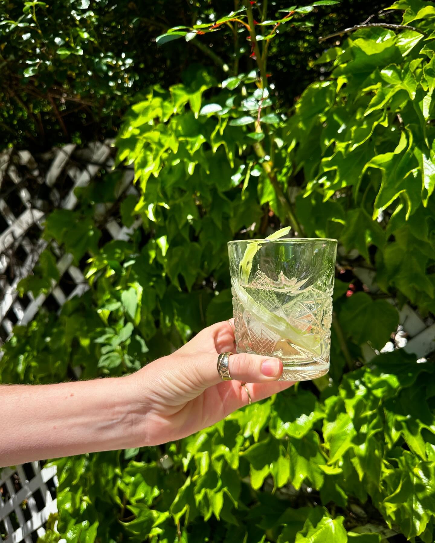 Lush back garden vibes 🌱

In hand is the Good Will Hunting. Poured with Gin, @massenez_officiel Pomme Verte, Tximista Blanc Vermouth, and Celery Bitters.