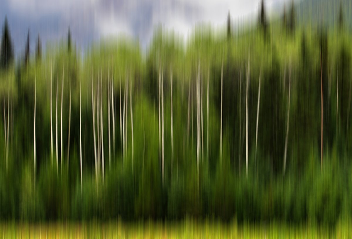 06c 01210 IMG_6074 v1.jpg