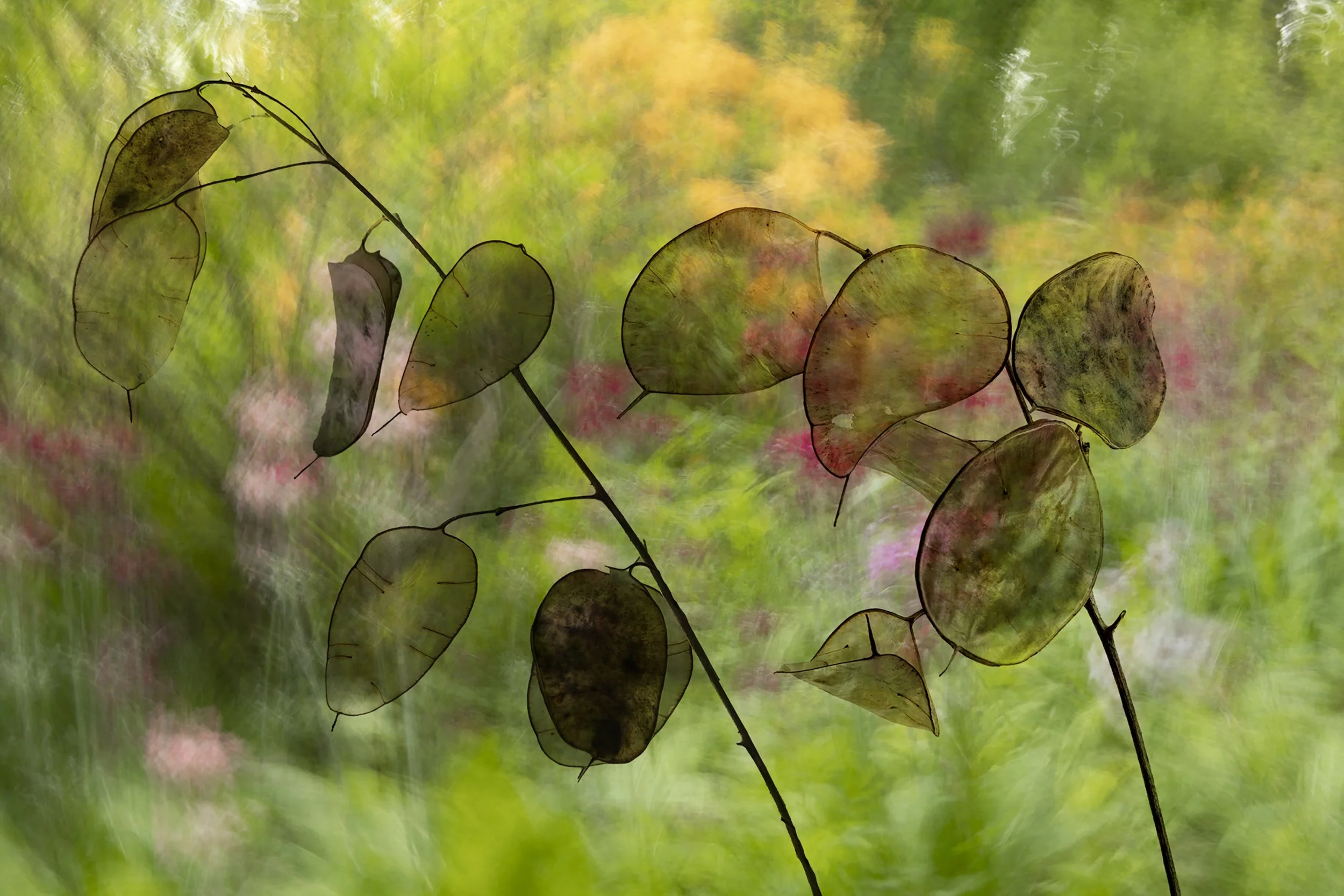 IMG_2213 v2 low res.jpg