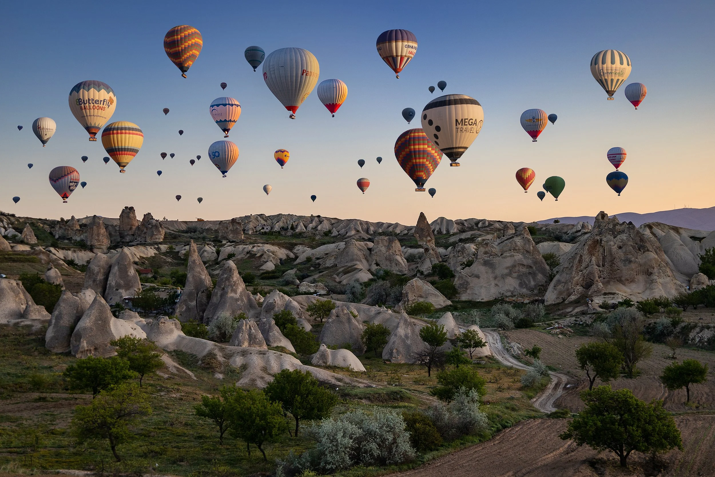 IMG_1984 v3 cleaned up.jpg