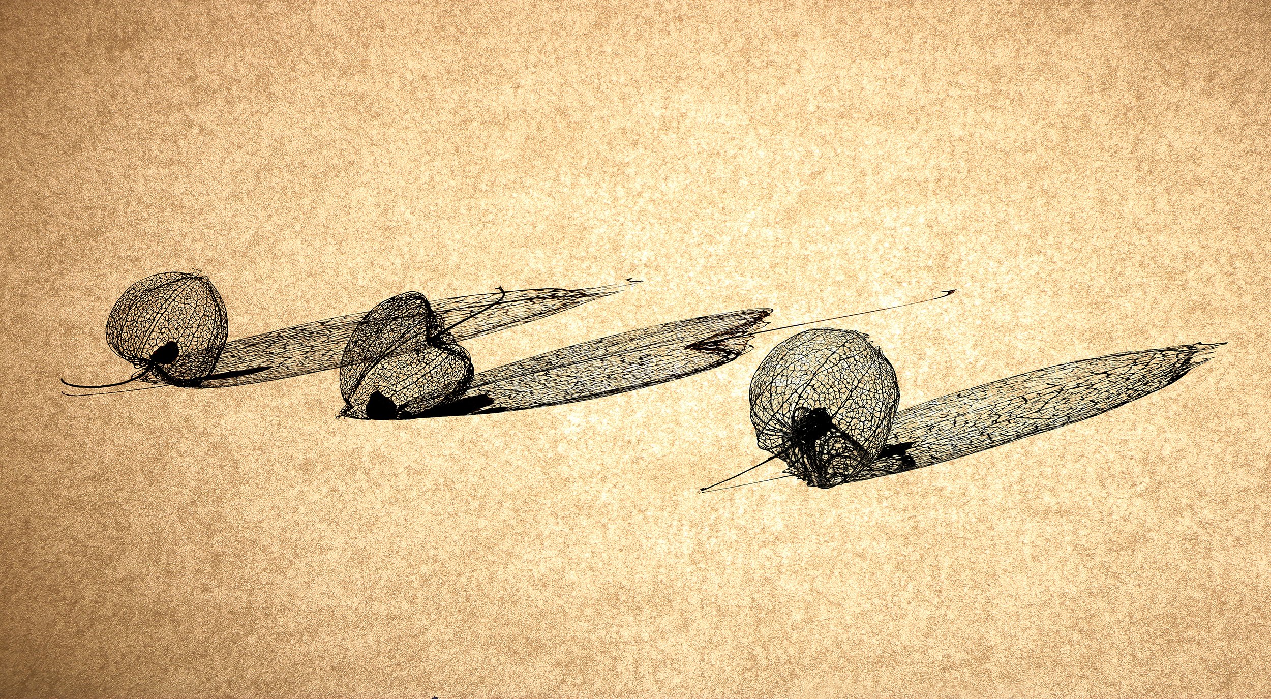 IMG_0196 v5 and 0232.jpg