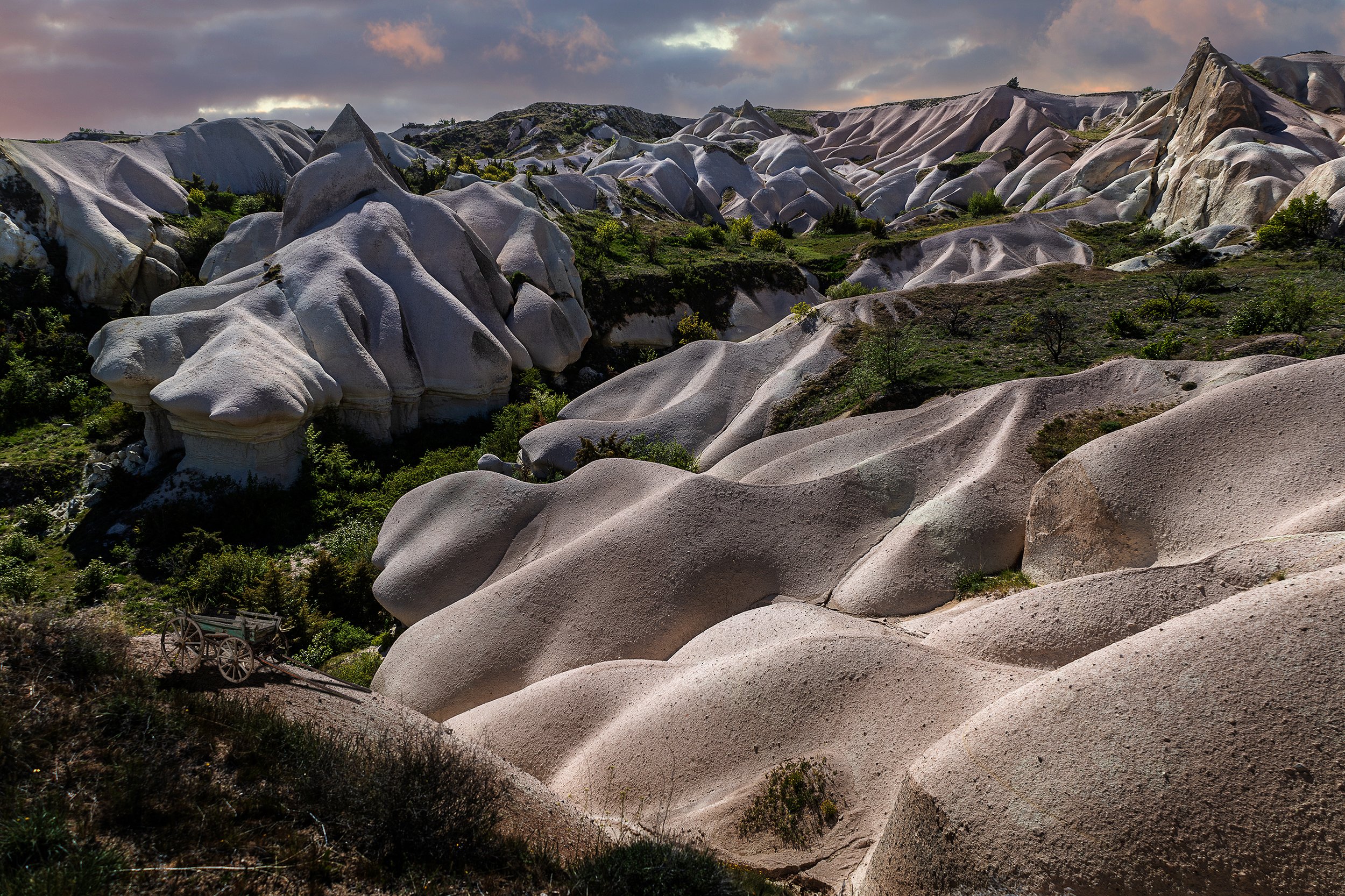 IMG_2263 v7 cart with shadow.jpg