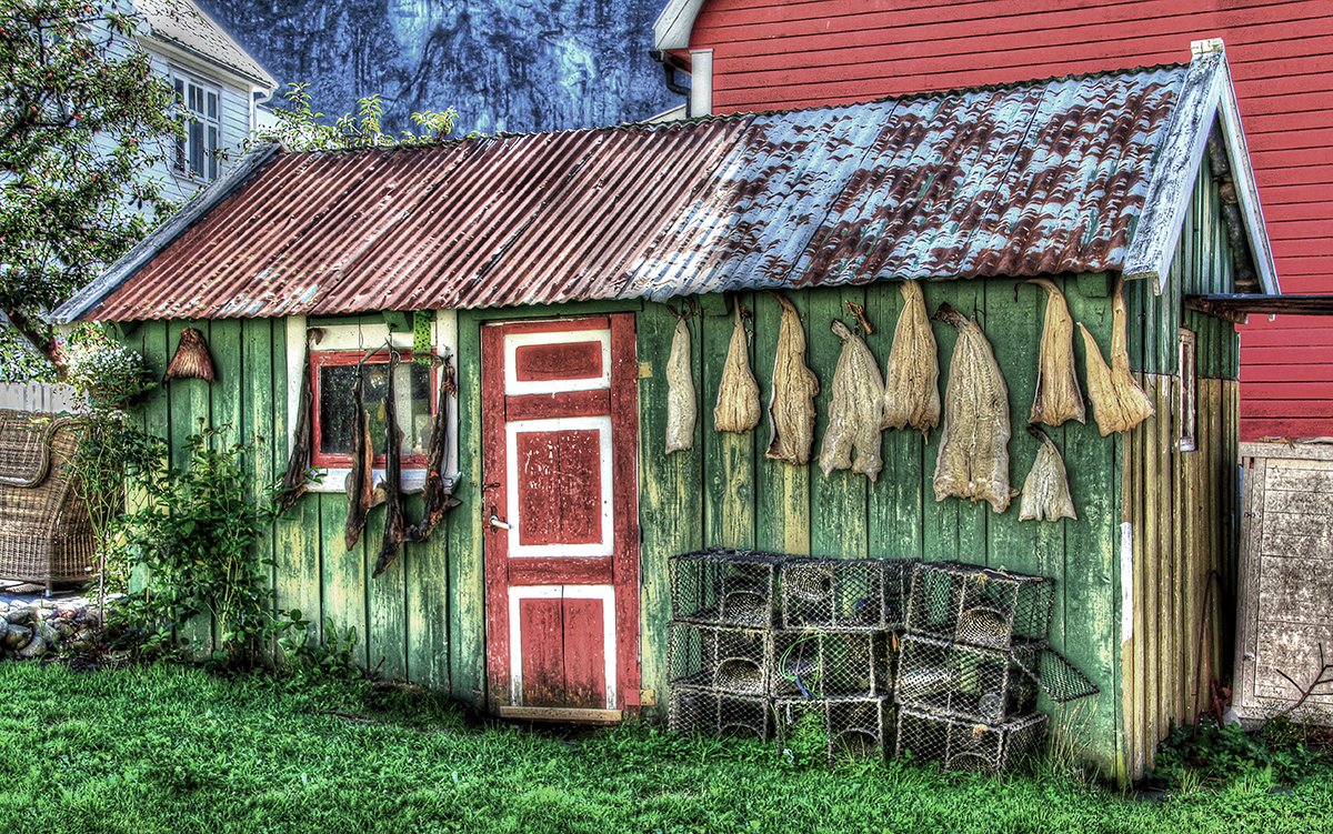 THE FISH SHED.jpg