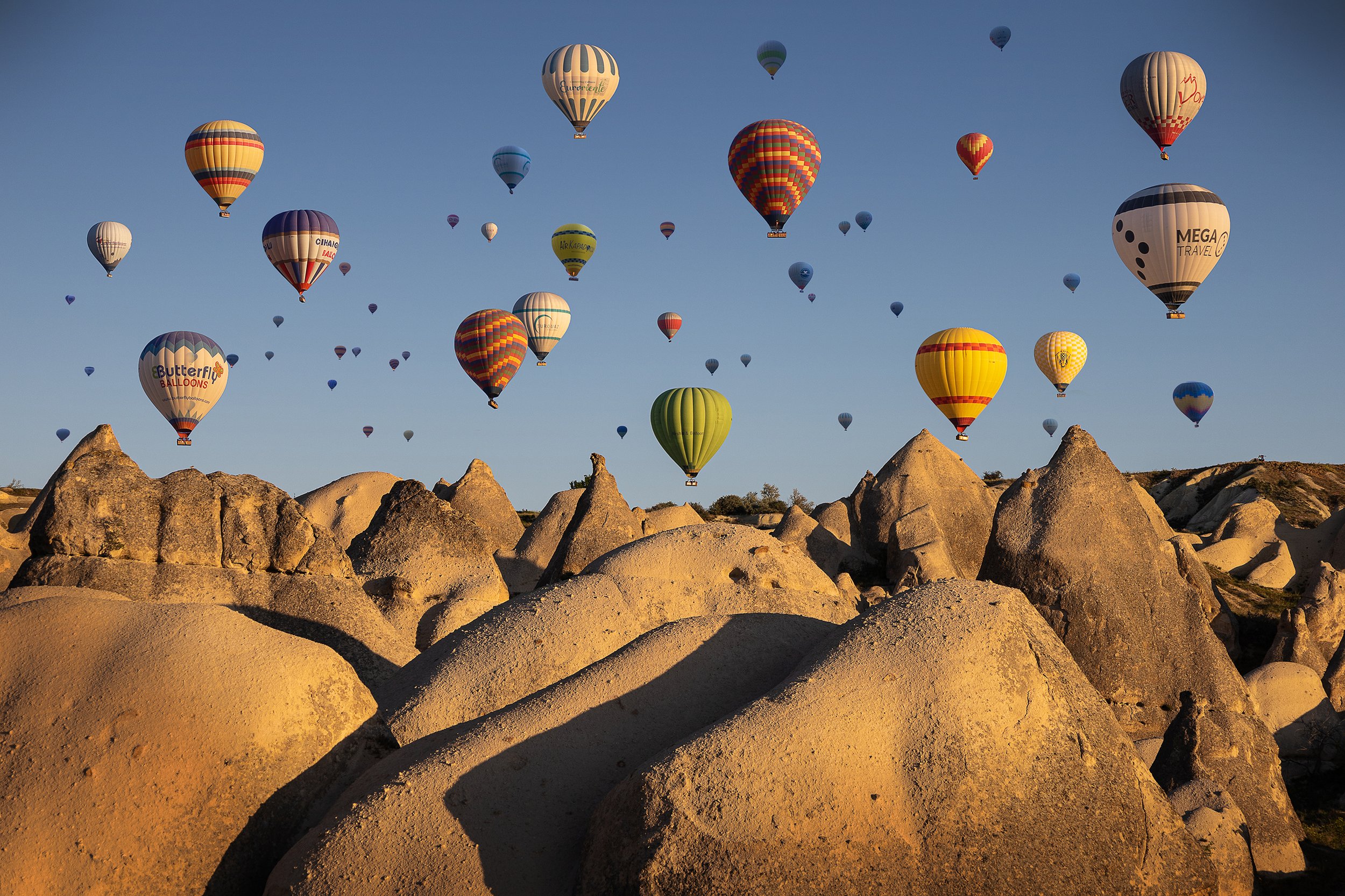 IMG_2010 v3 cleaned up.jpg