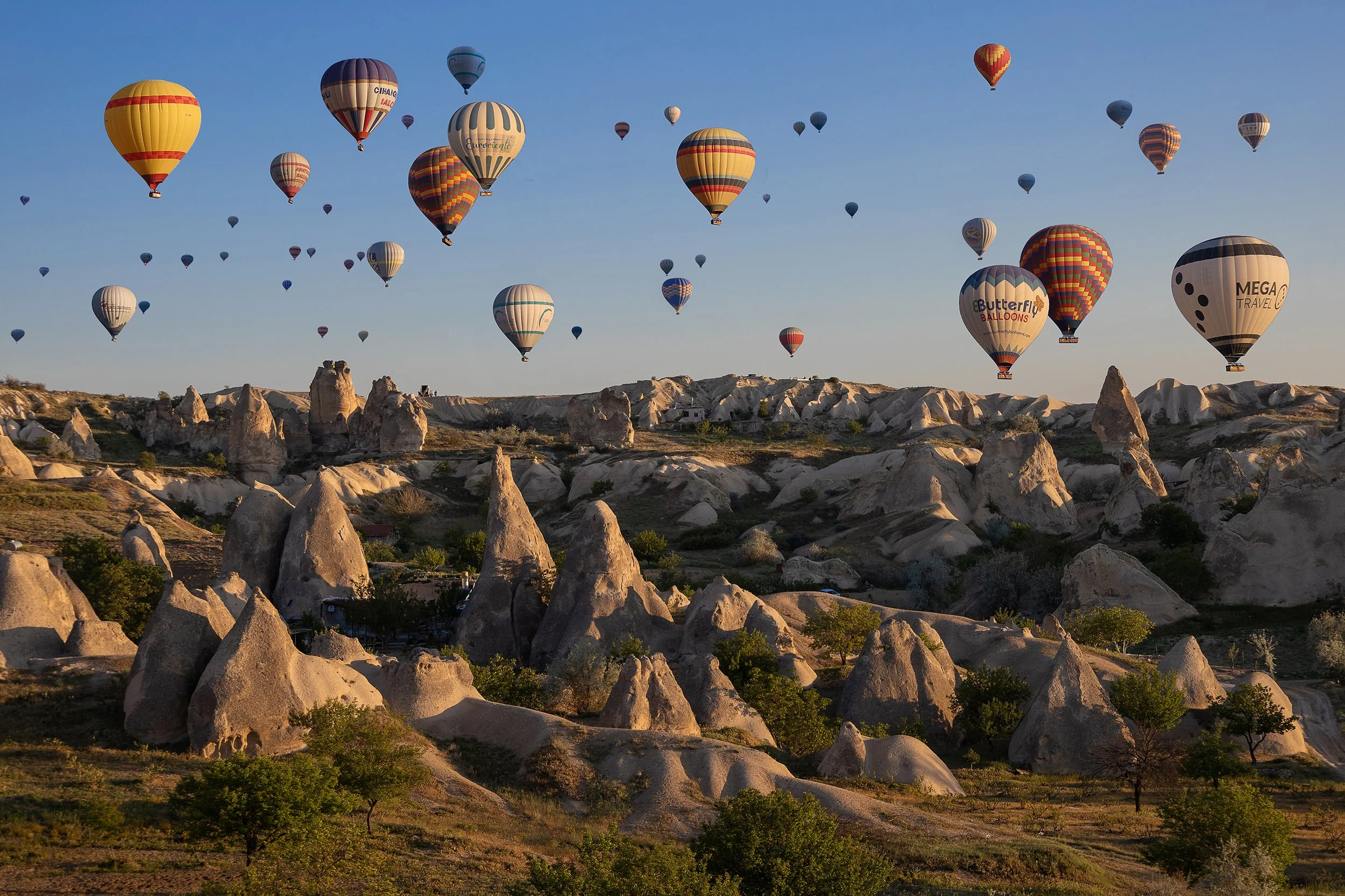 IMG_2007 v3 cleaned up.jpg