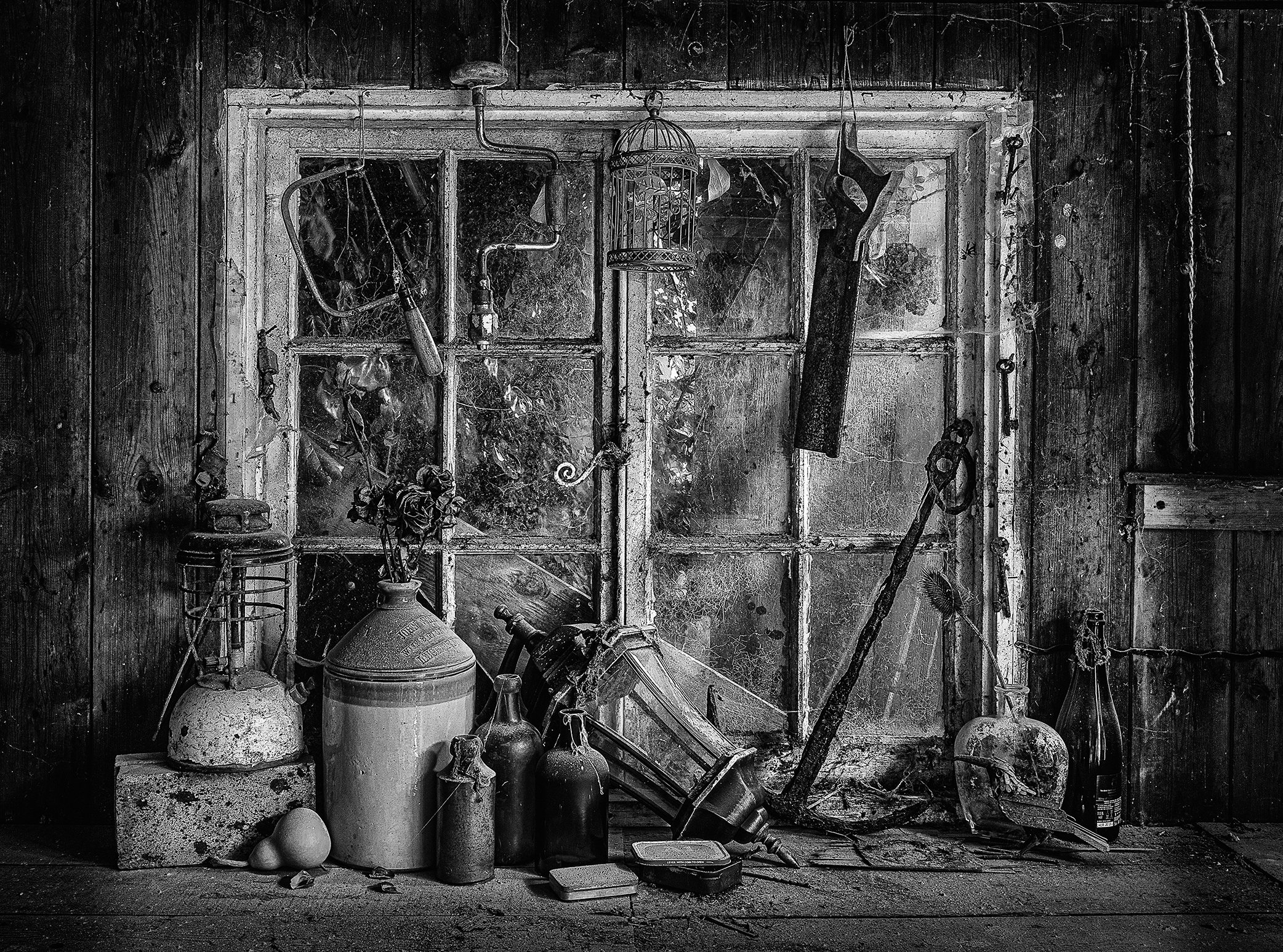 IMG_9434 v9 Full contrast and structure Beam.jpg