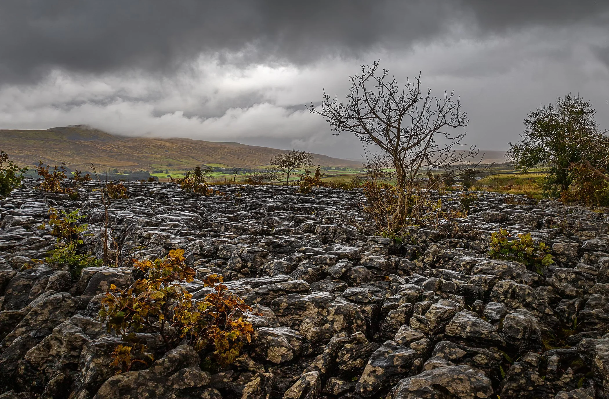 IMG_1554 v3 reduced grain.jpg