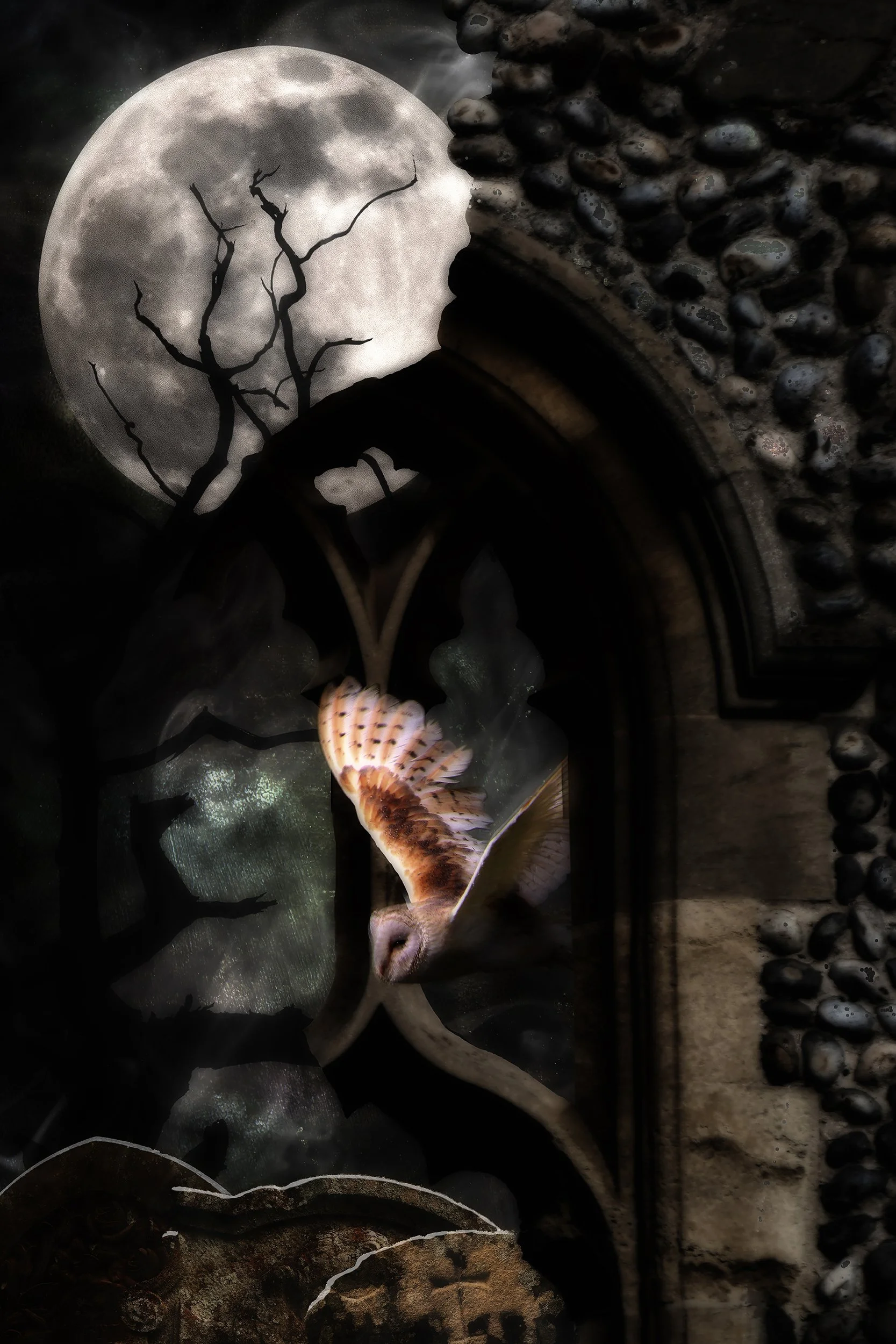 IMG_8395c composite 2.jpg