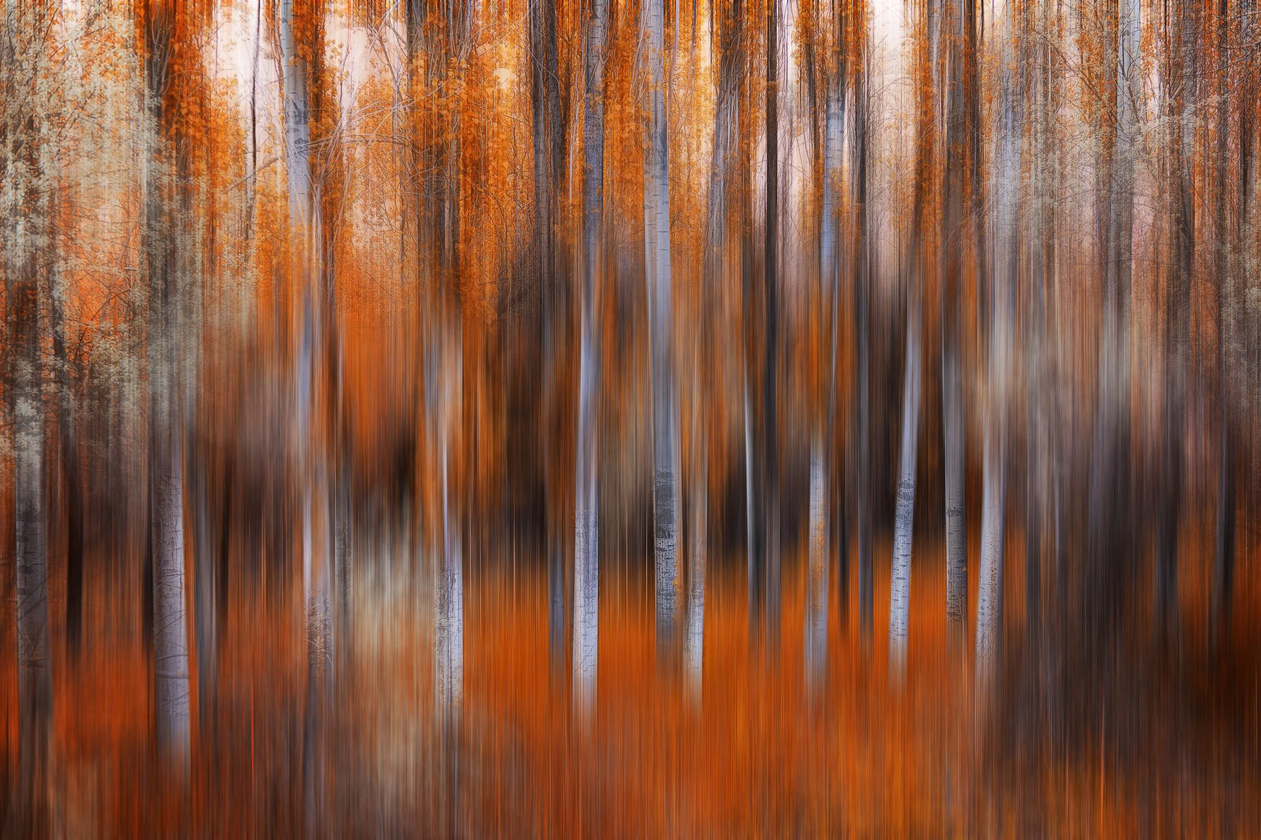 IMG_1929 Vert Blur 412 v11.jpg