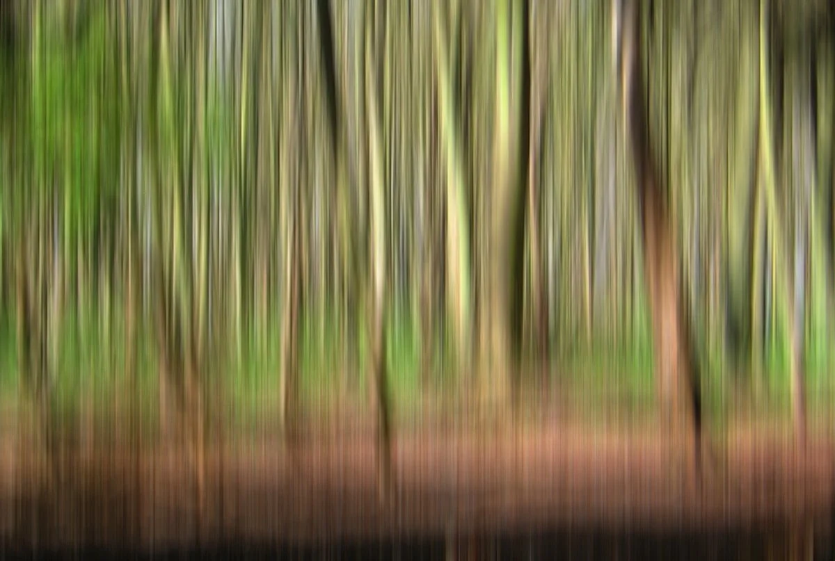 April 2006 001 v1.jpg