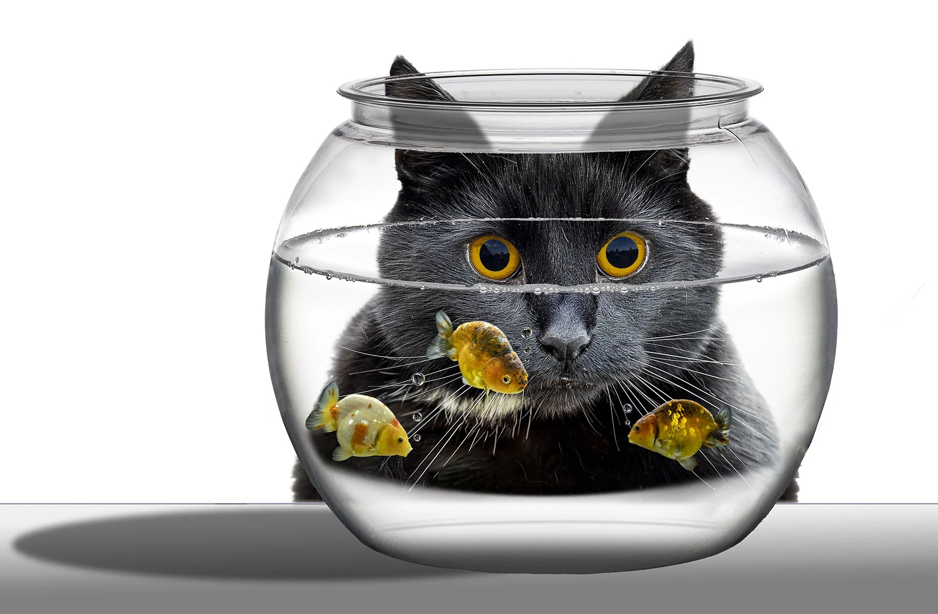 HB6A7082 v15 medium distortion.jpg