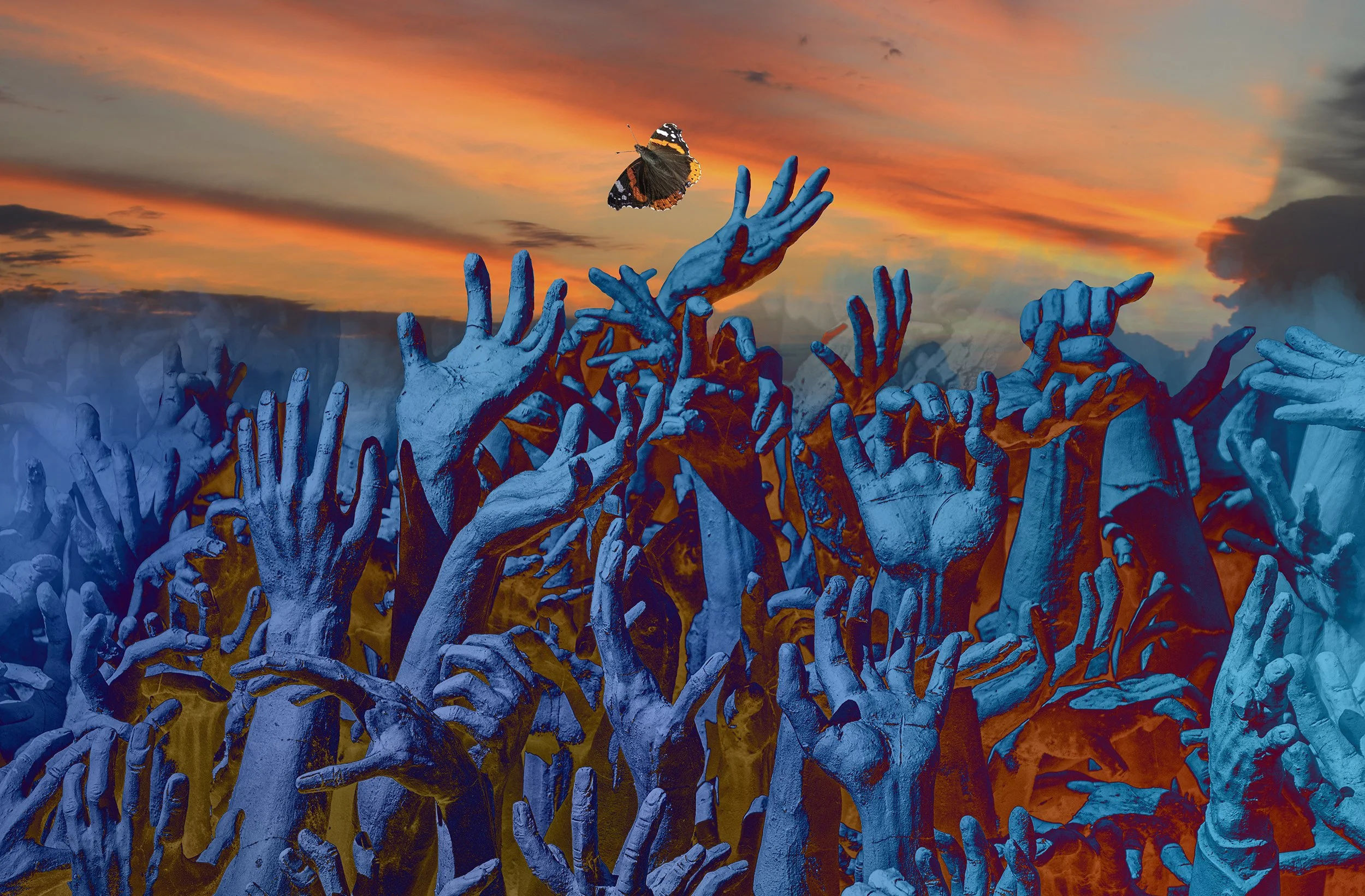 Hands and sky and buterfly v11.jpg