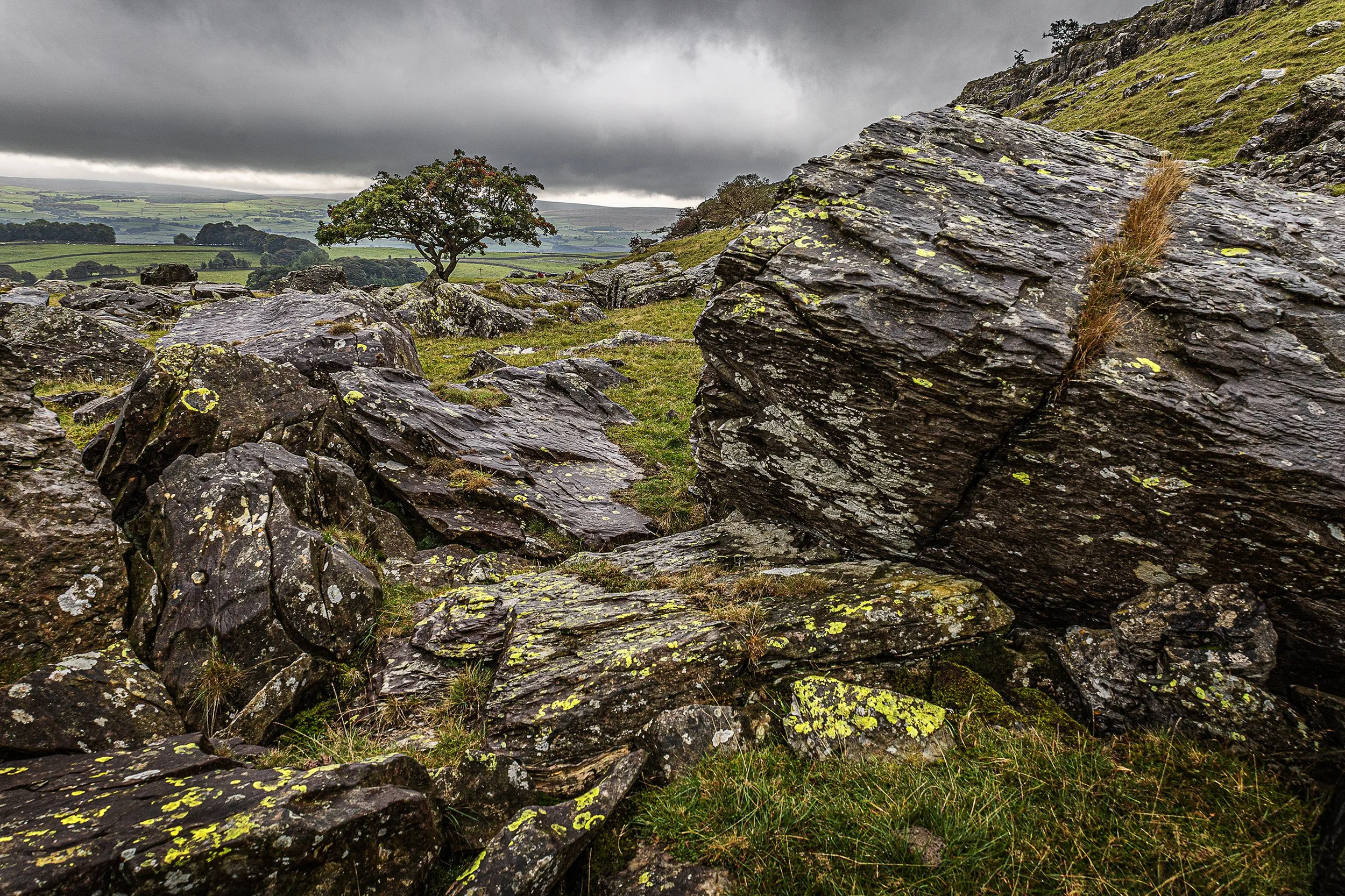 IMG_1990 v3 better rock top.jpg