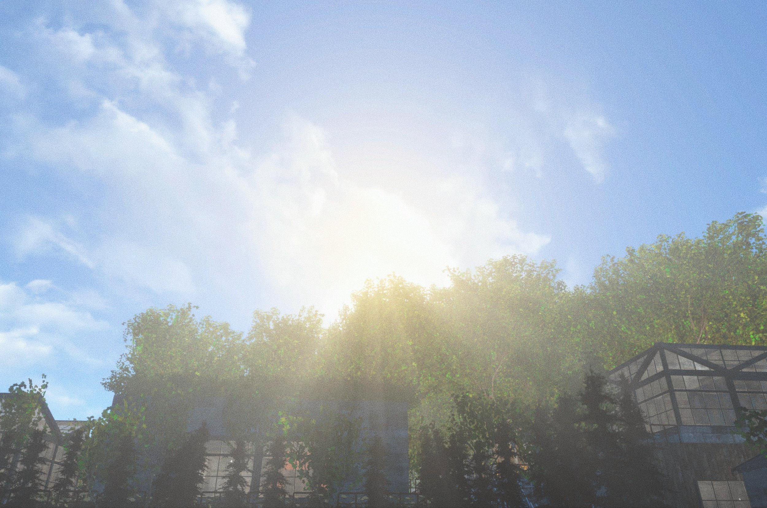 EC6942B0-FAAA-4FF5-BF7B-D98867B1C93D.jpeg