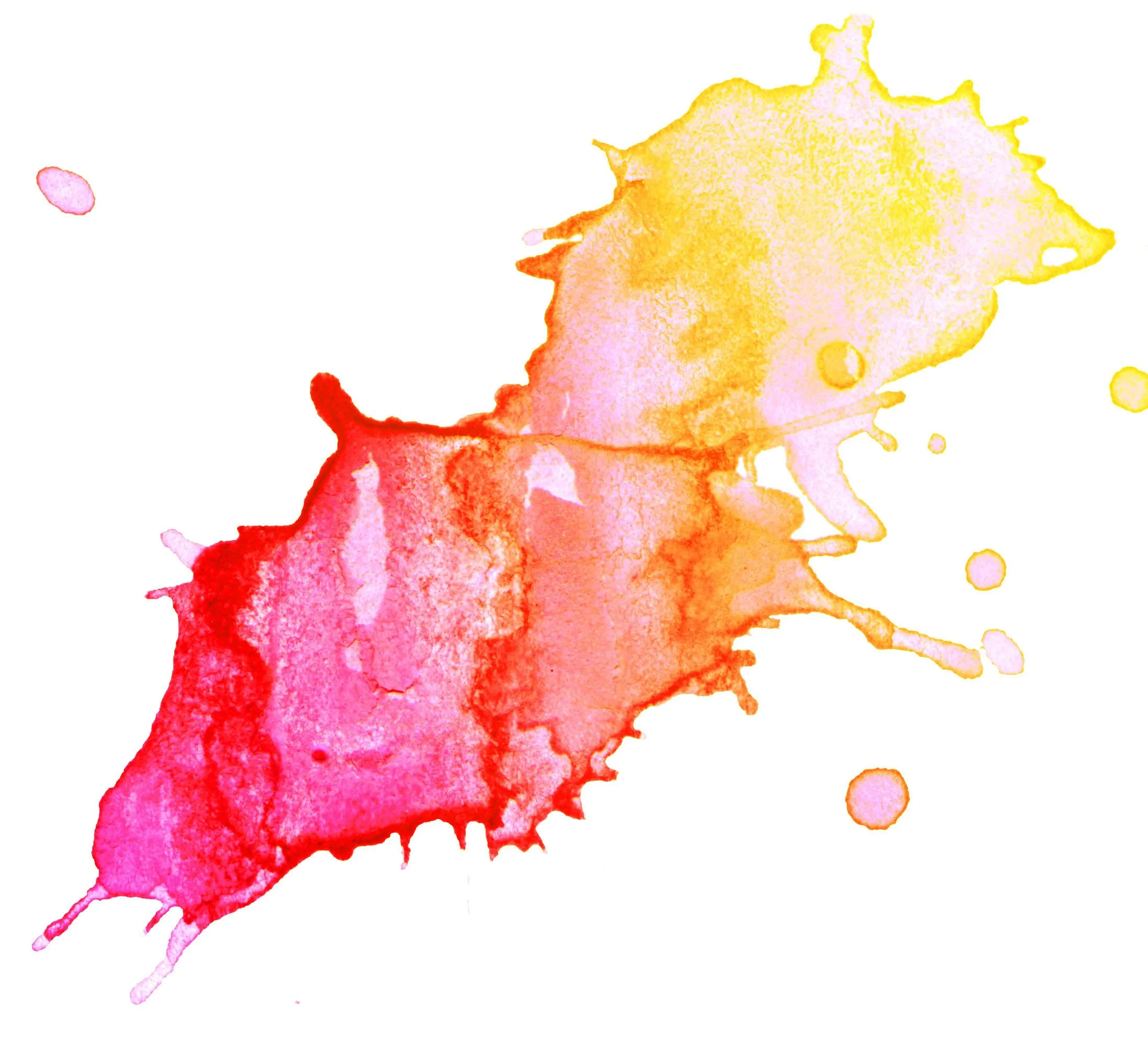 watercolor4.jpg