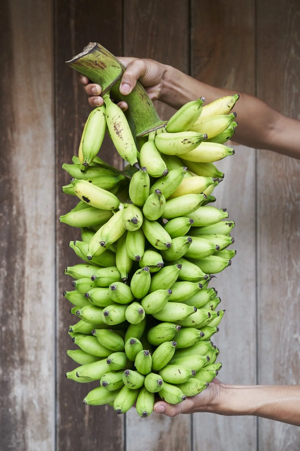 Bananas_06.jpg