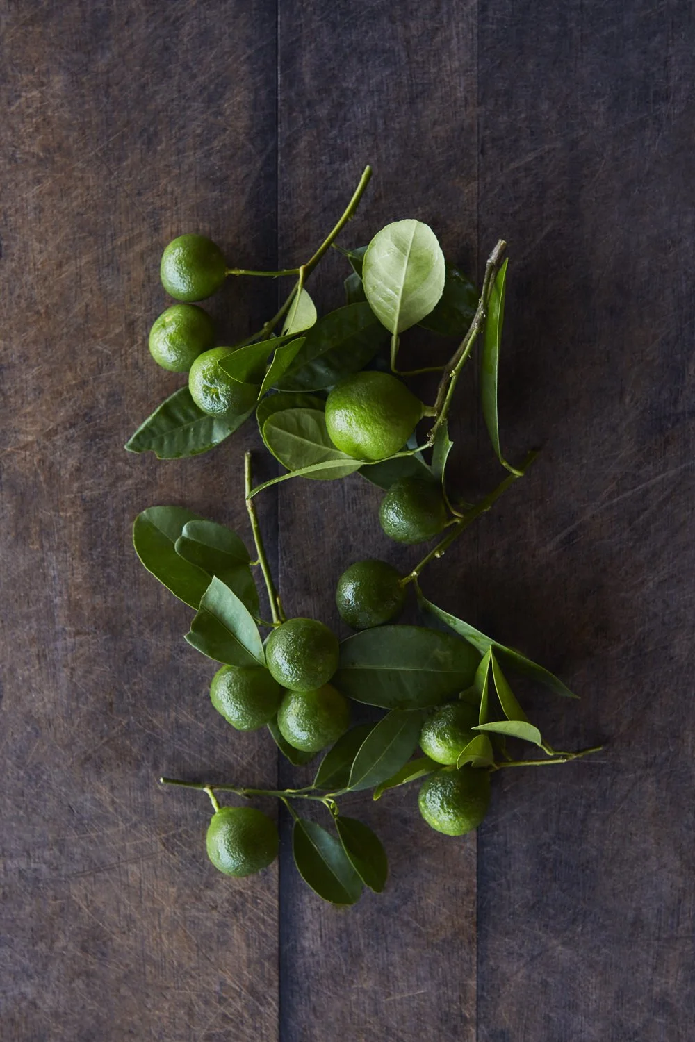 Limes_11.jpg
