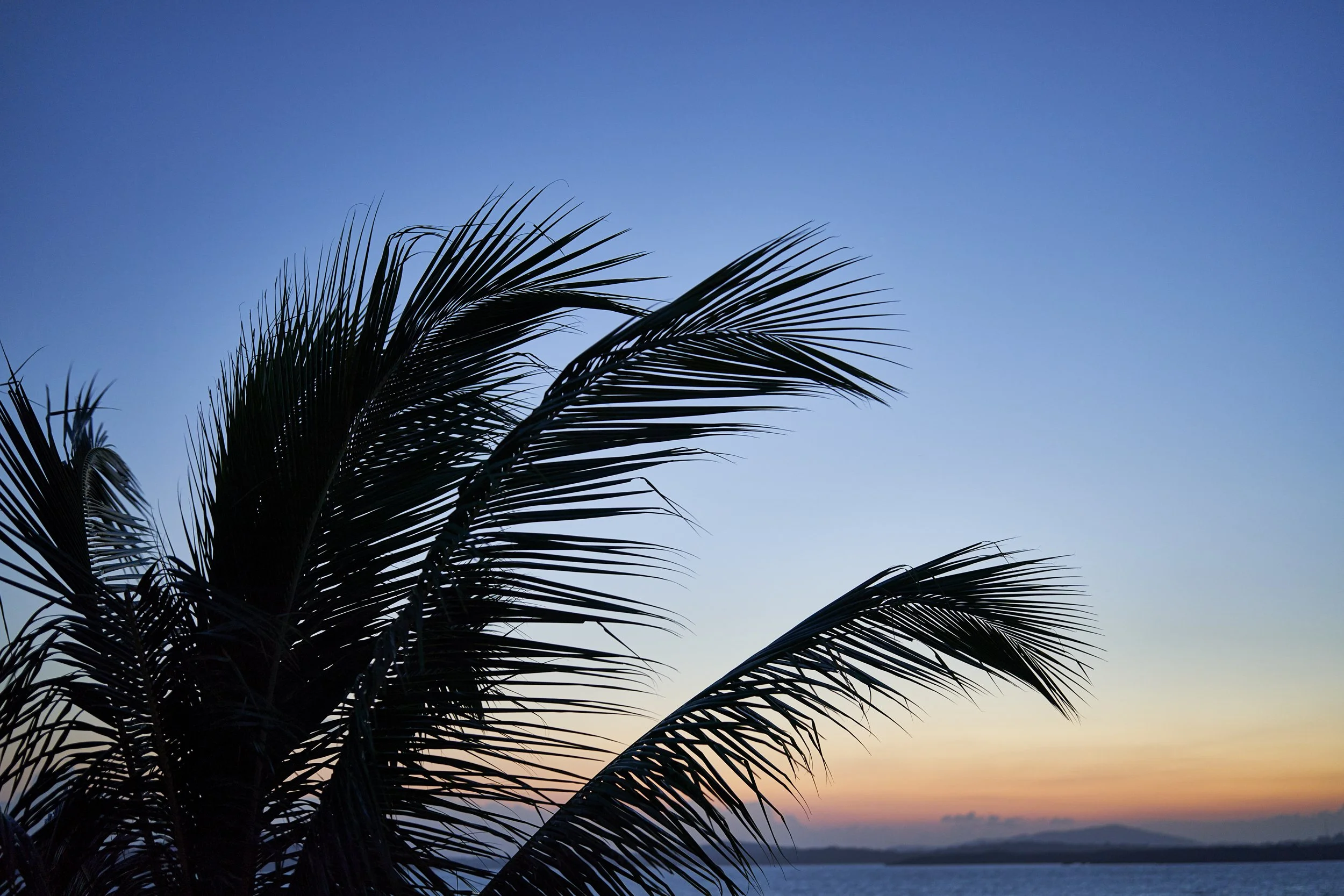 ScenicDay6_145.jpg