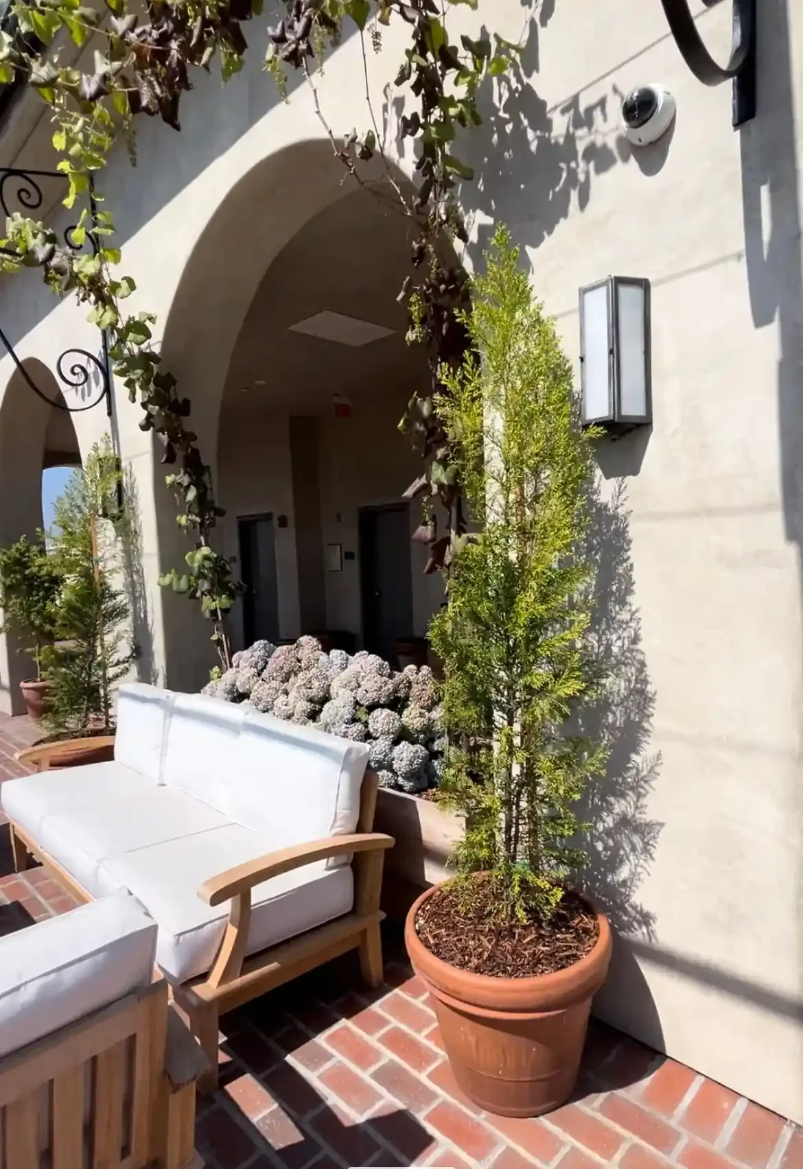 Outdoor terrace seating at Brantwood senior apartments in Pasadena’s Playhouse Village, featuring cushioned lounge chairs, potted greenery, arched walkways, and brick flooring.