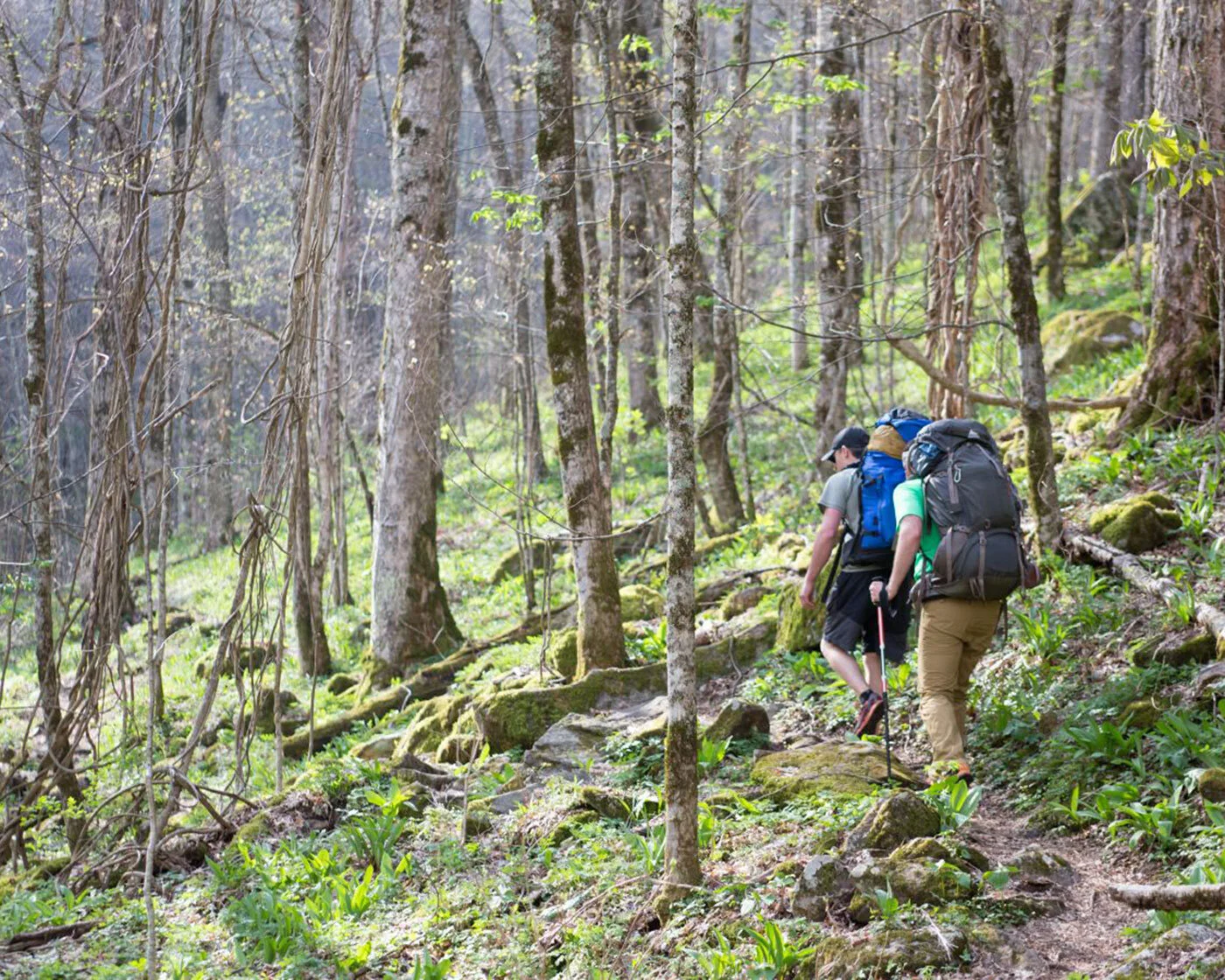 Membership-based Healthcare | Black Mountain NC