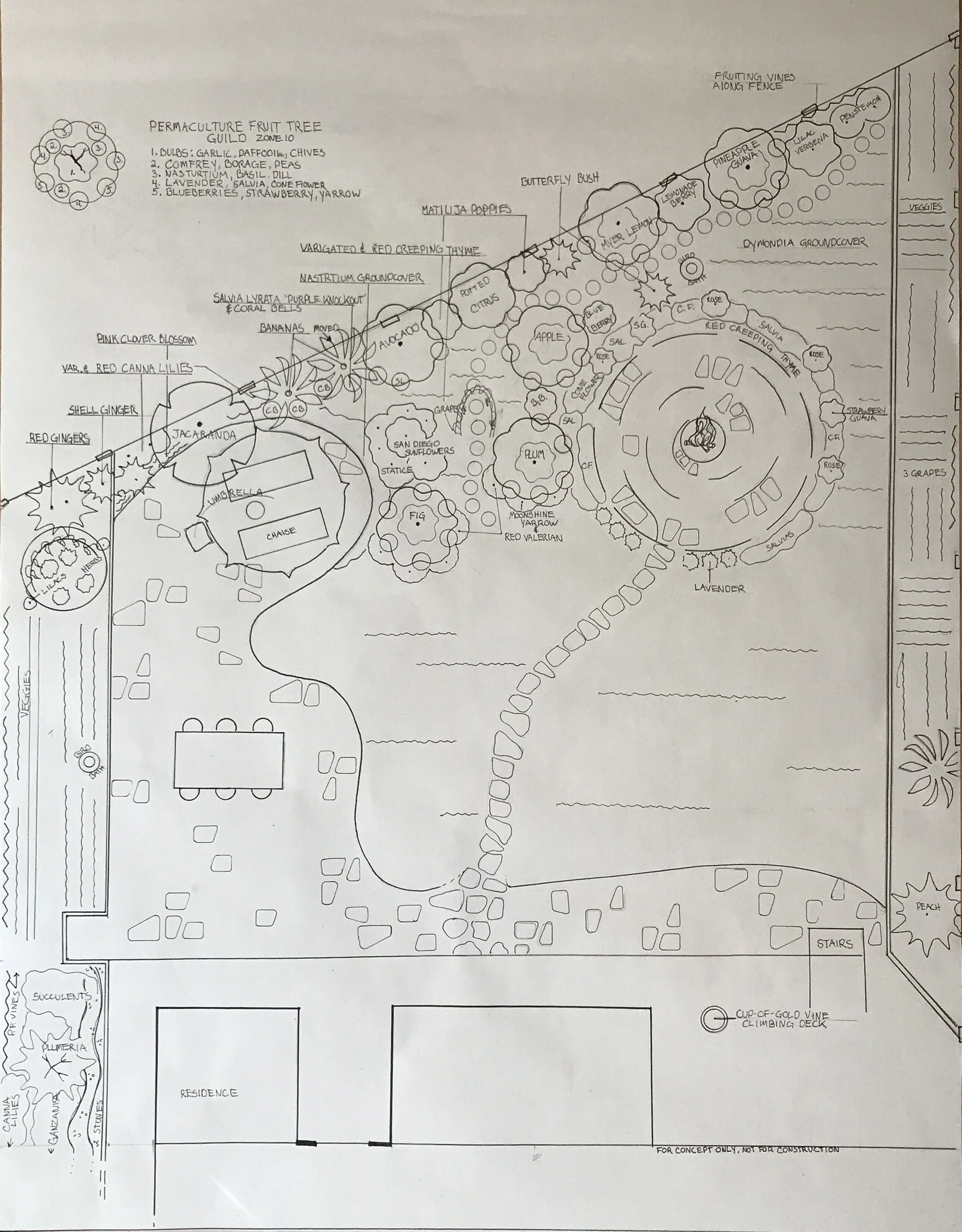 Scale drawing of plan