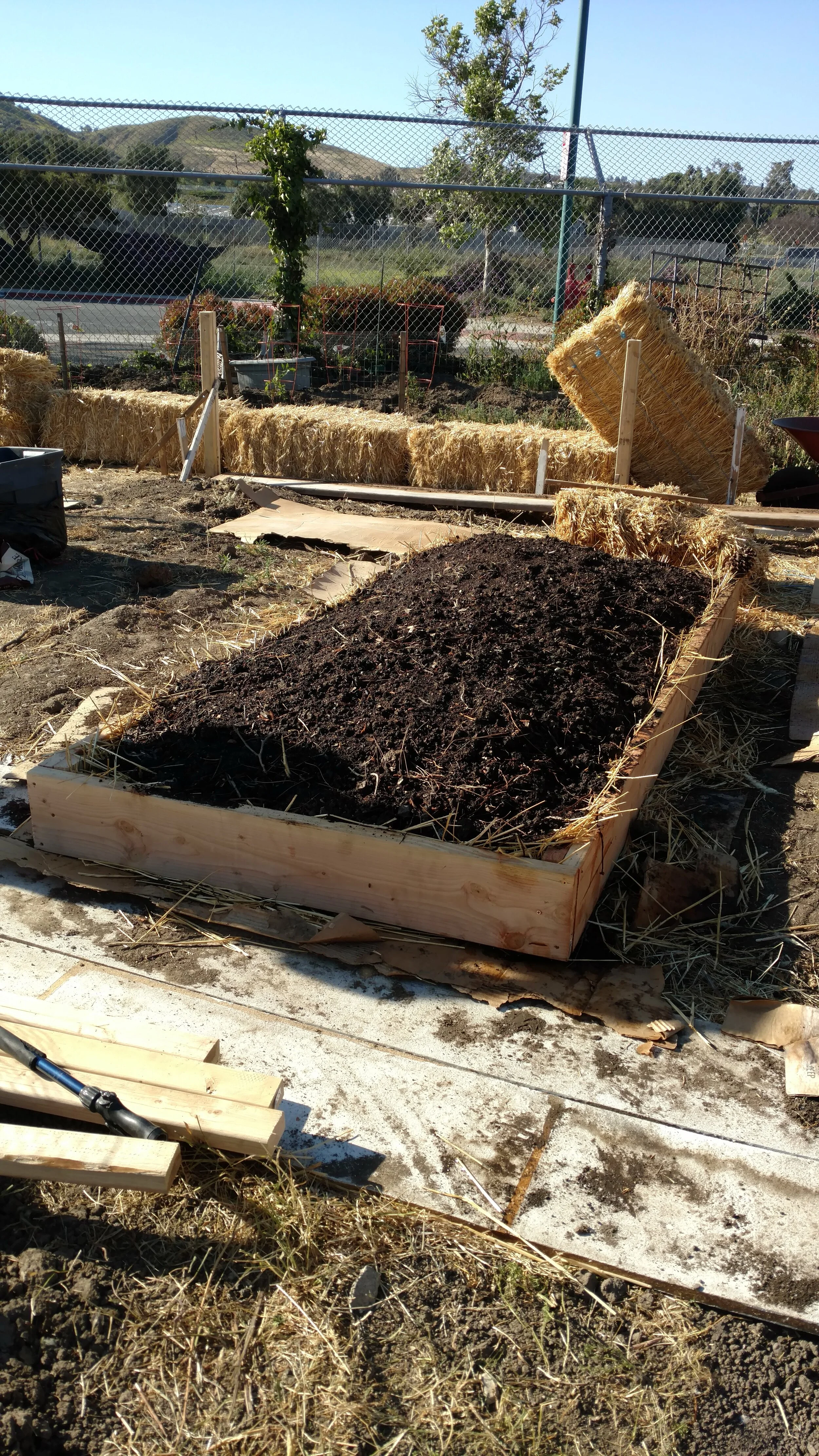 Lasagna style raised bed Day One 