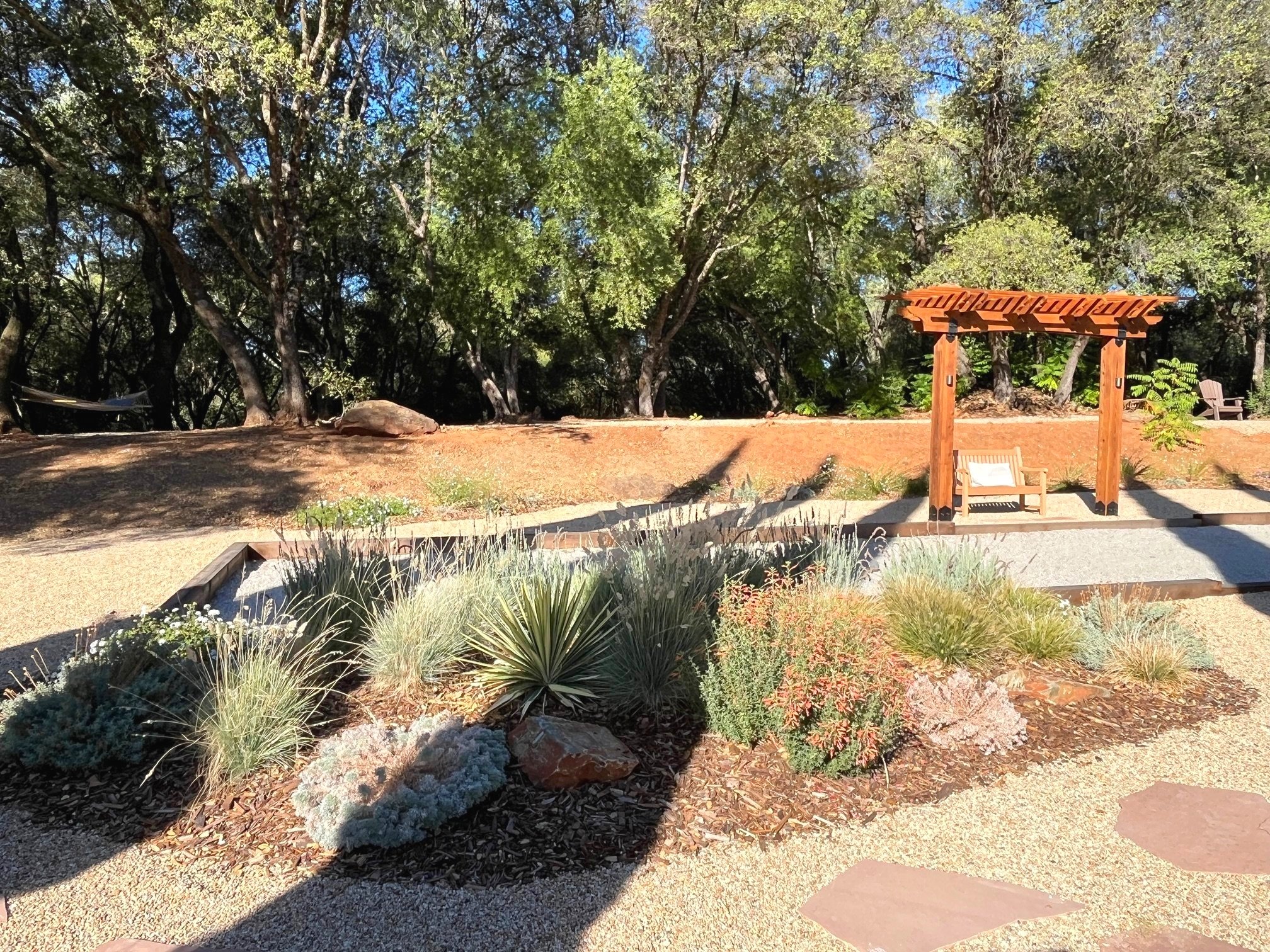 California native landscape design, custom pergola arbor built. 1 year after planting