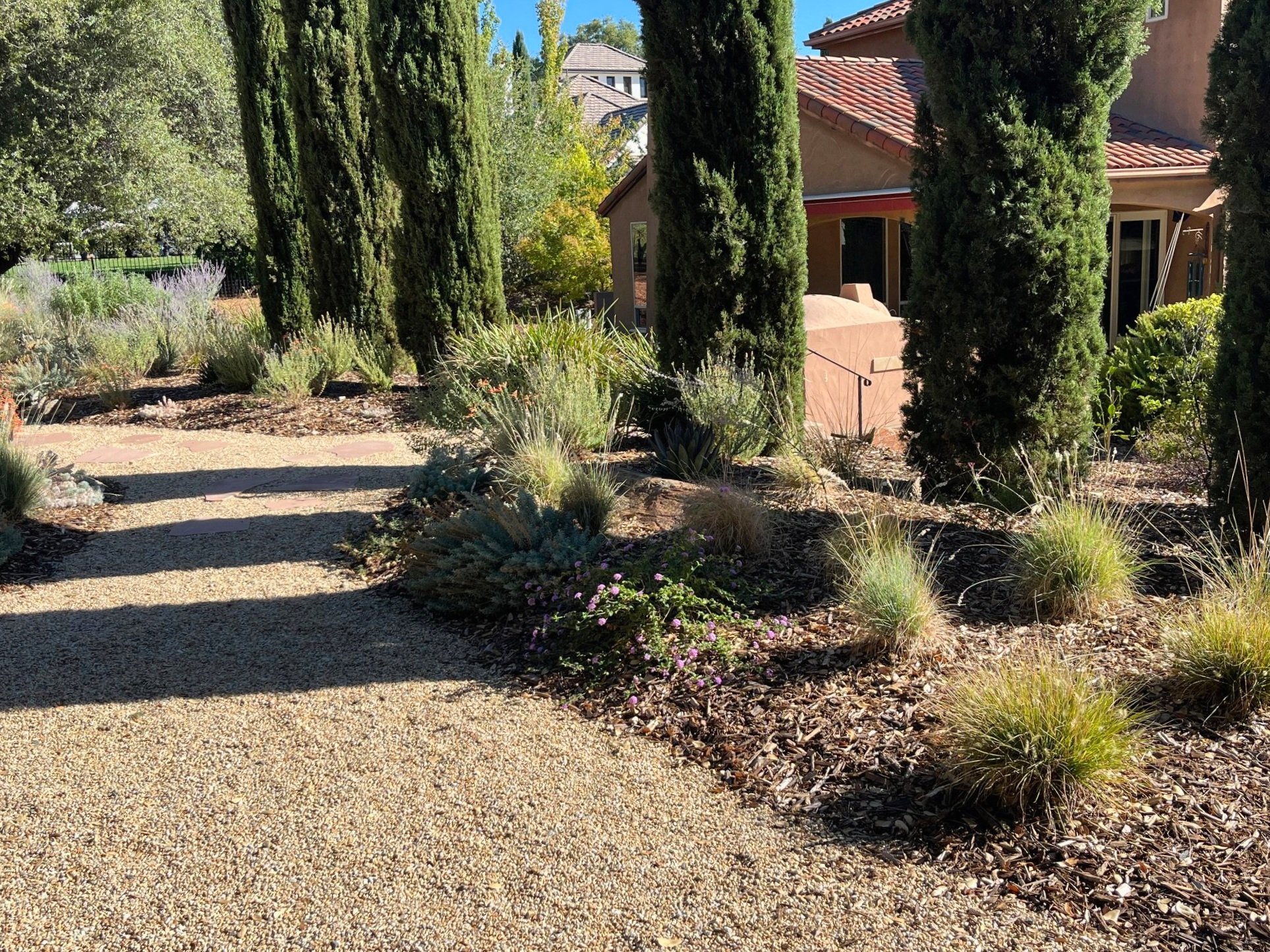 Custom landscape design California friendly. Italian cypress and olive