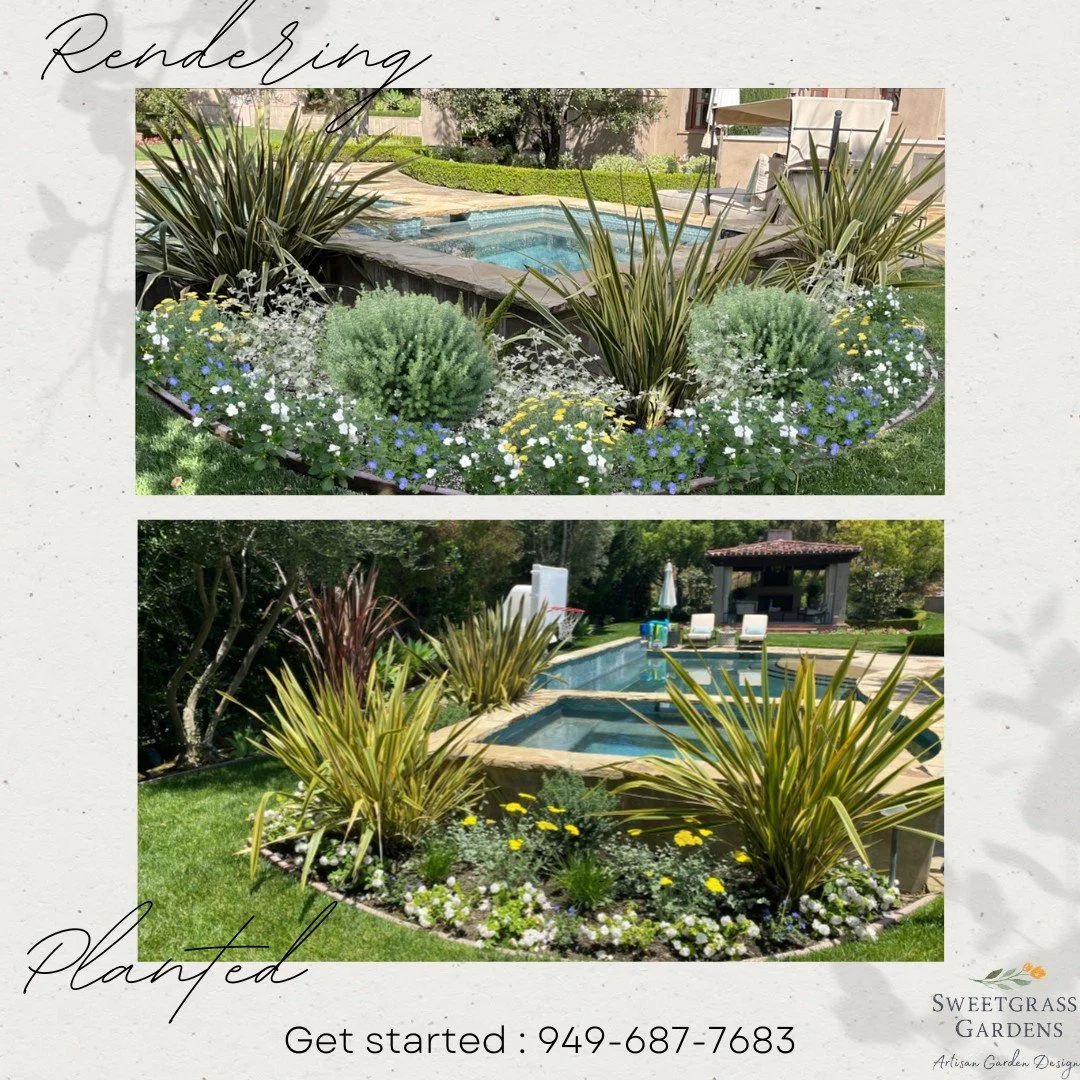 Concept to creation. I use picture collages to show you exactly what it will look like when mature.

 #homeimprovements #bbqlife #LowWaterGardens #NativePlantLandscapes #CaliforniaLandscapes #DroughtResistantPlants #lagunaniguel #socalgardener #Polli