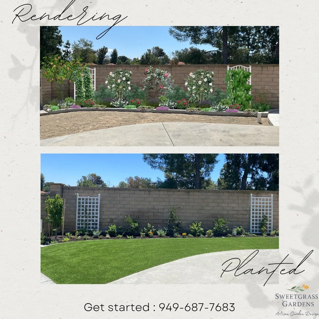 Give it time and space it right.

 #socalgardener #PollinatorGardens #gardenerorangecounty #gardeneroc #gardendesigneroc #pollinatorgarden #missionviejo #gardentips #permaculturedesign #Homeimprovements #homeimprovements #gardening #landscaping #outd