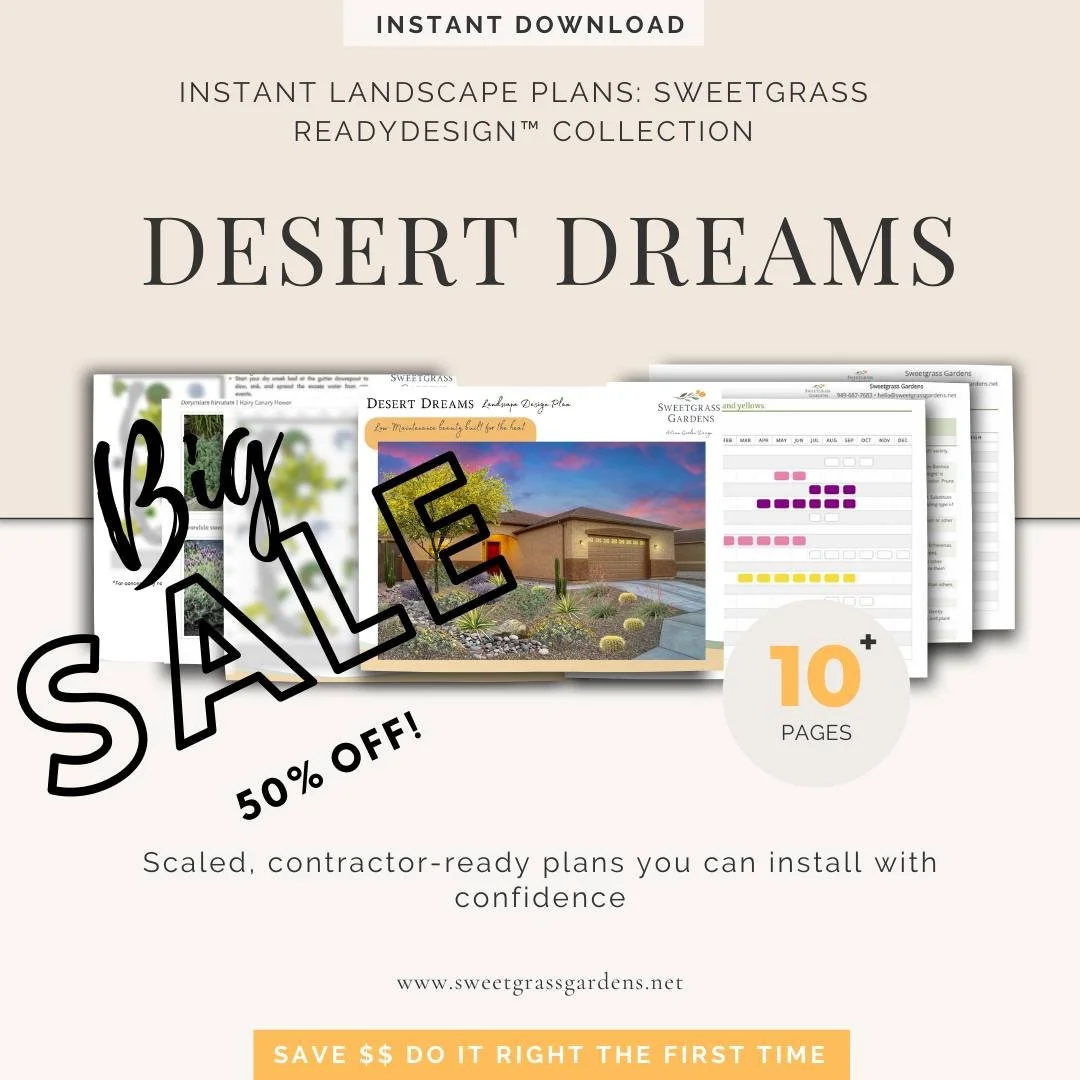 🔥 Black Friday Week: 50% OFF &mdash; On Sale through December 2nd! 🔥
Meet the Modern Native Desert ReadyDesign&trade; Plan &mdash; sculptural, low-water, architectural, and stunning year-round.
Perfect for warm climates and anyone who loves bold fo