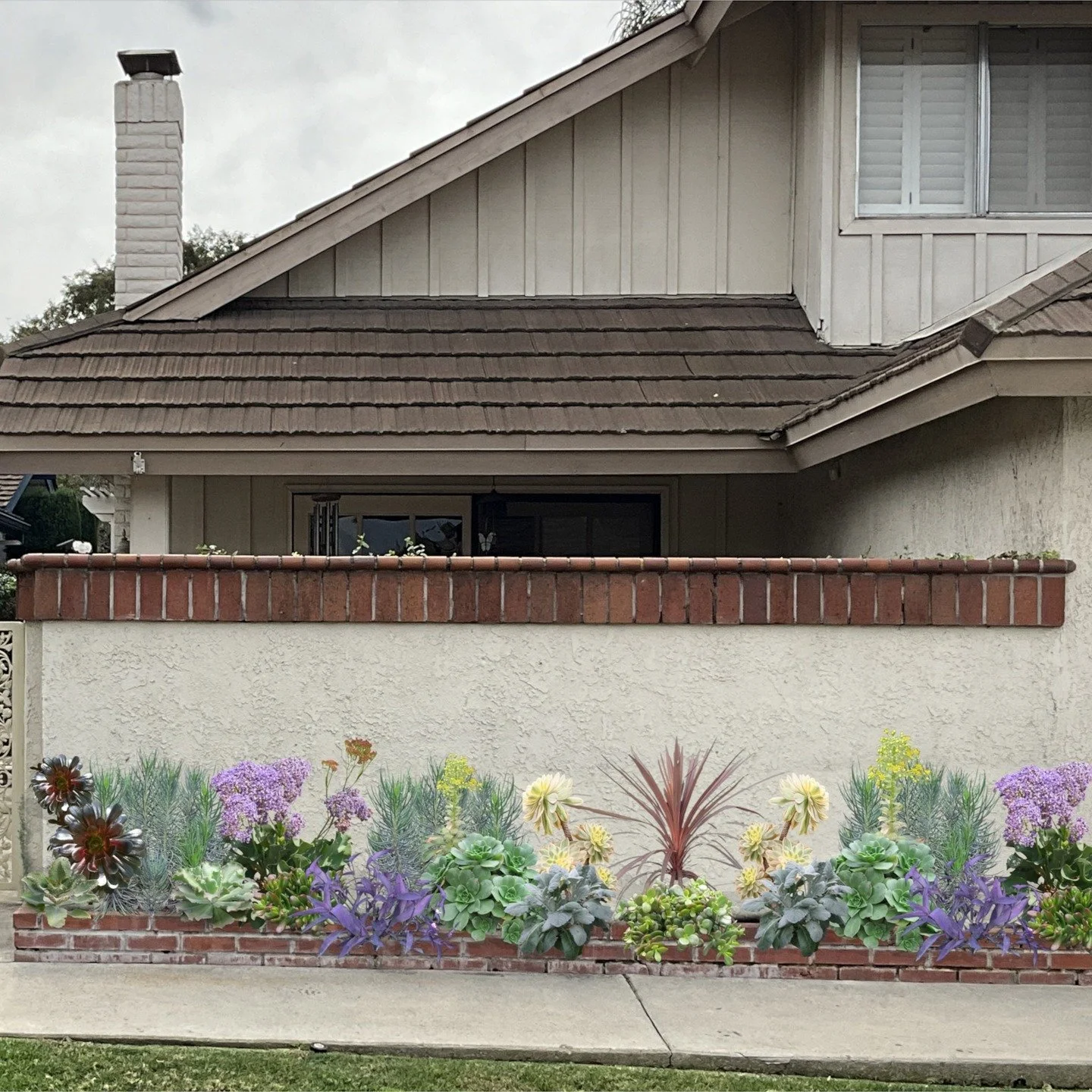 A sweet little succulent planter design today, swipe for the before, let nix the box hedges shall we? So boring, when we could have texture, variety, flowers!