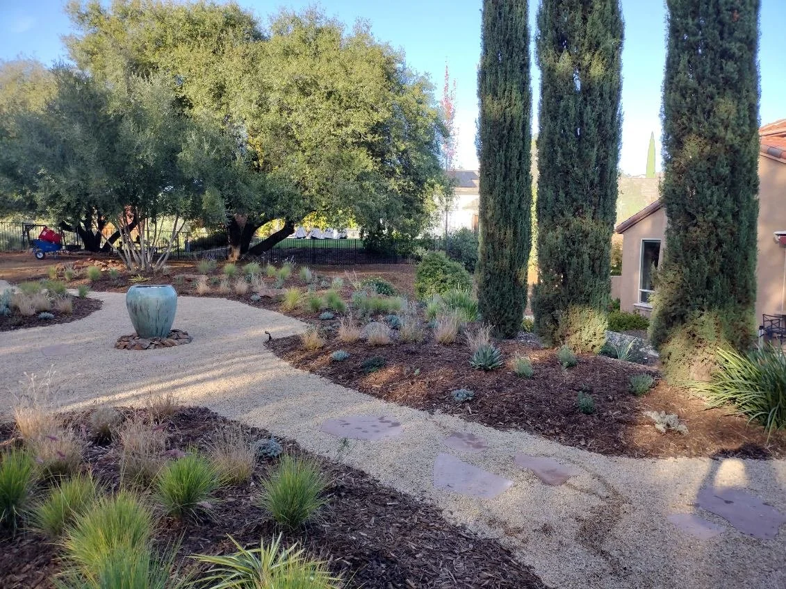 Designing a Mediterranean-Inspired Garden for Orange County