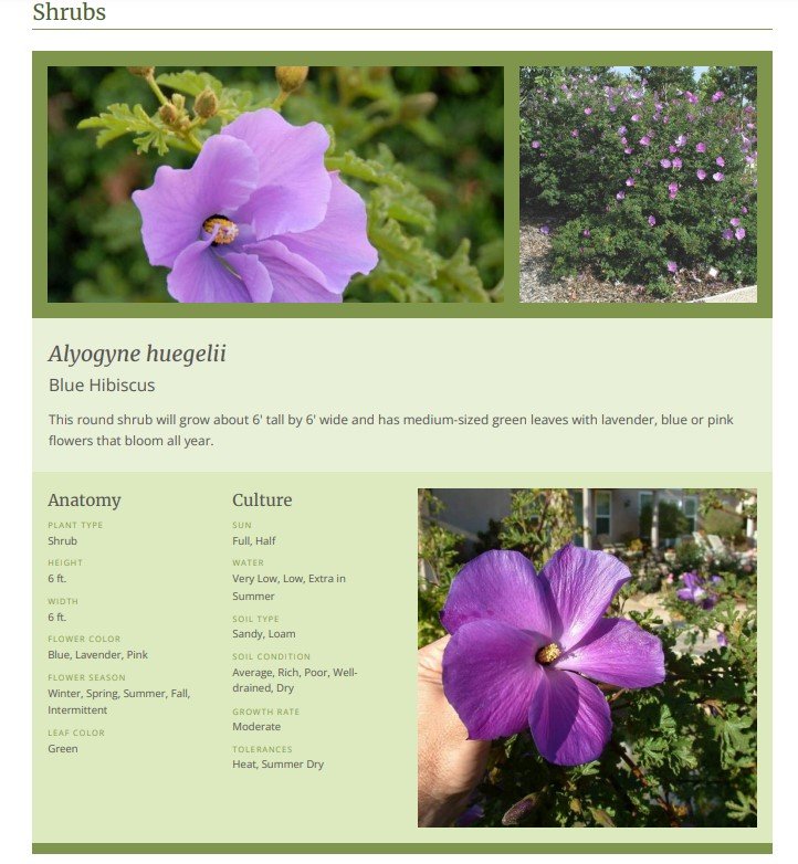 Plant details for native pollinator garden.jpg