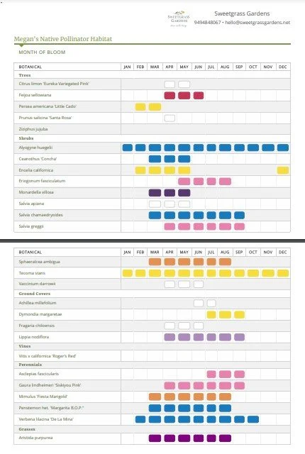 Bloom time Chart native pollinator garden design.jpg