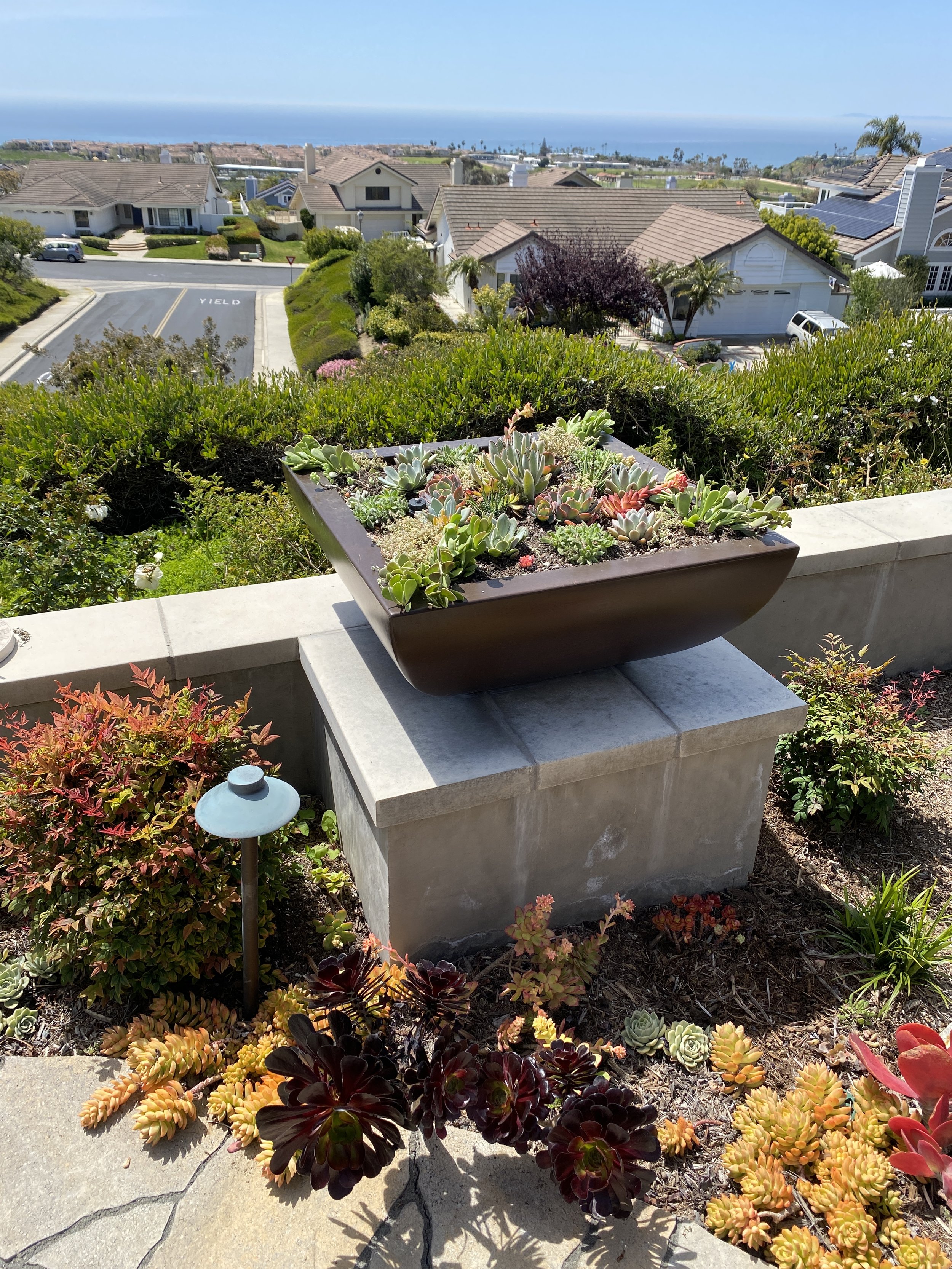 Succulent planter design 