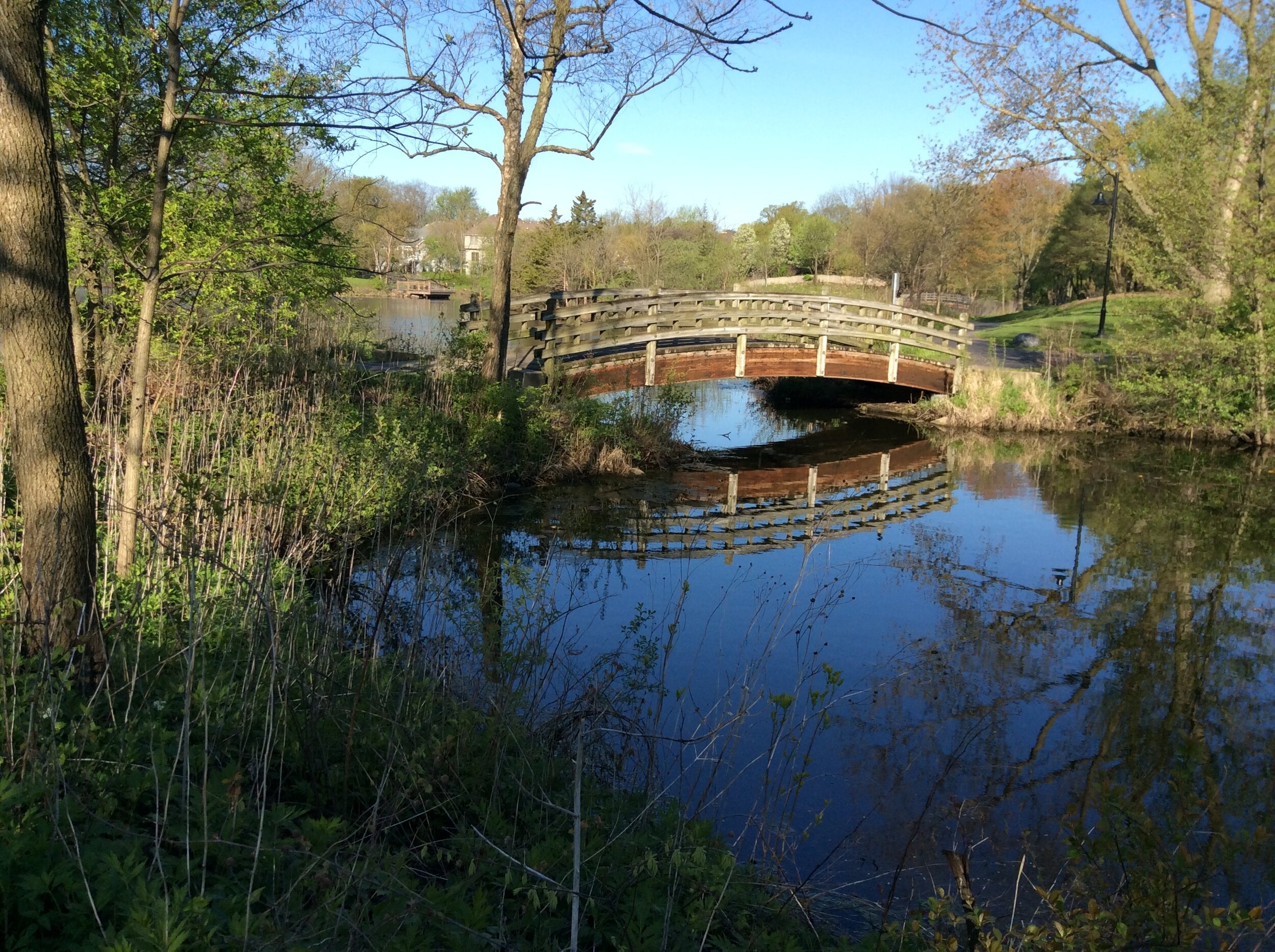 Finding peace