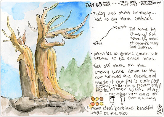 Watercolor Journal Containing Tree