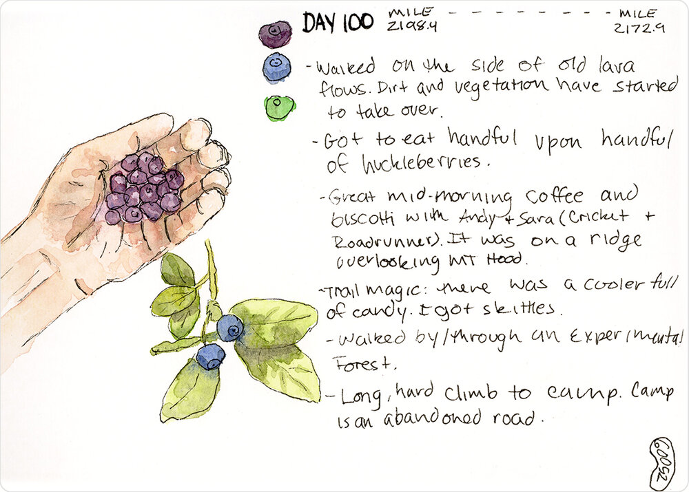 Watercolor Journal Containing Huckleberries