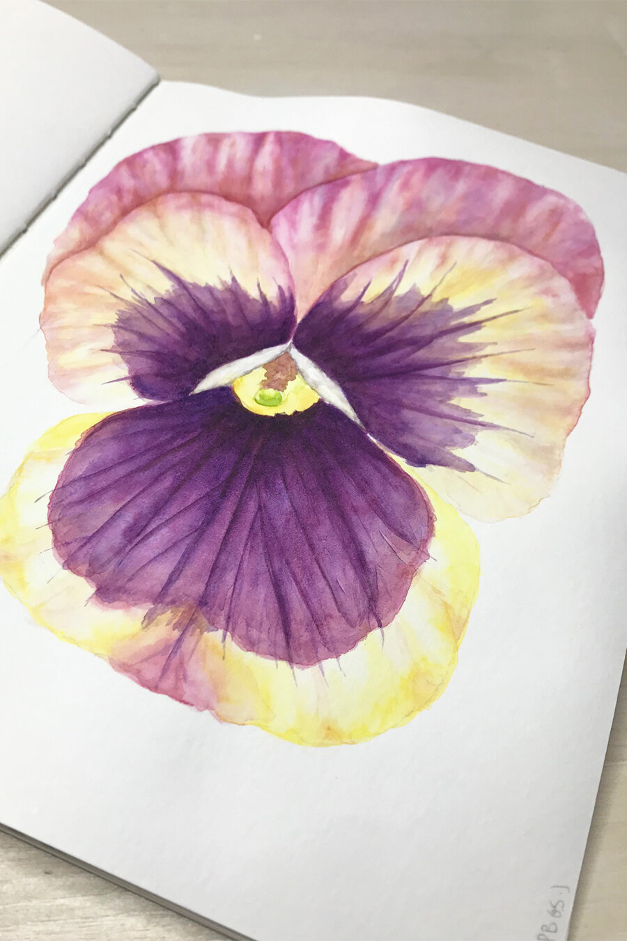 Pansy Watercolor Painting