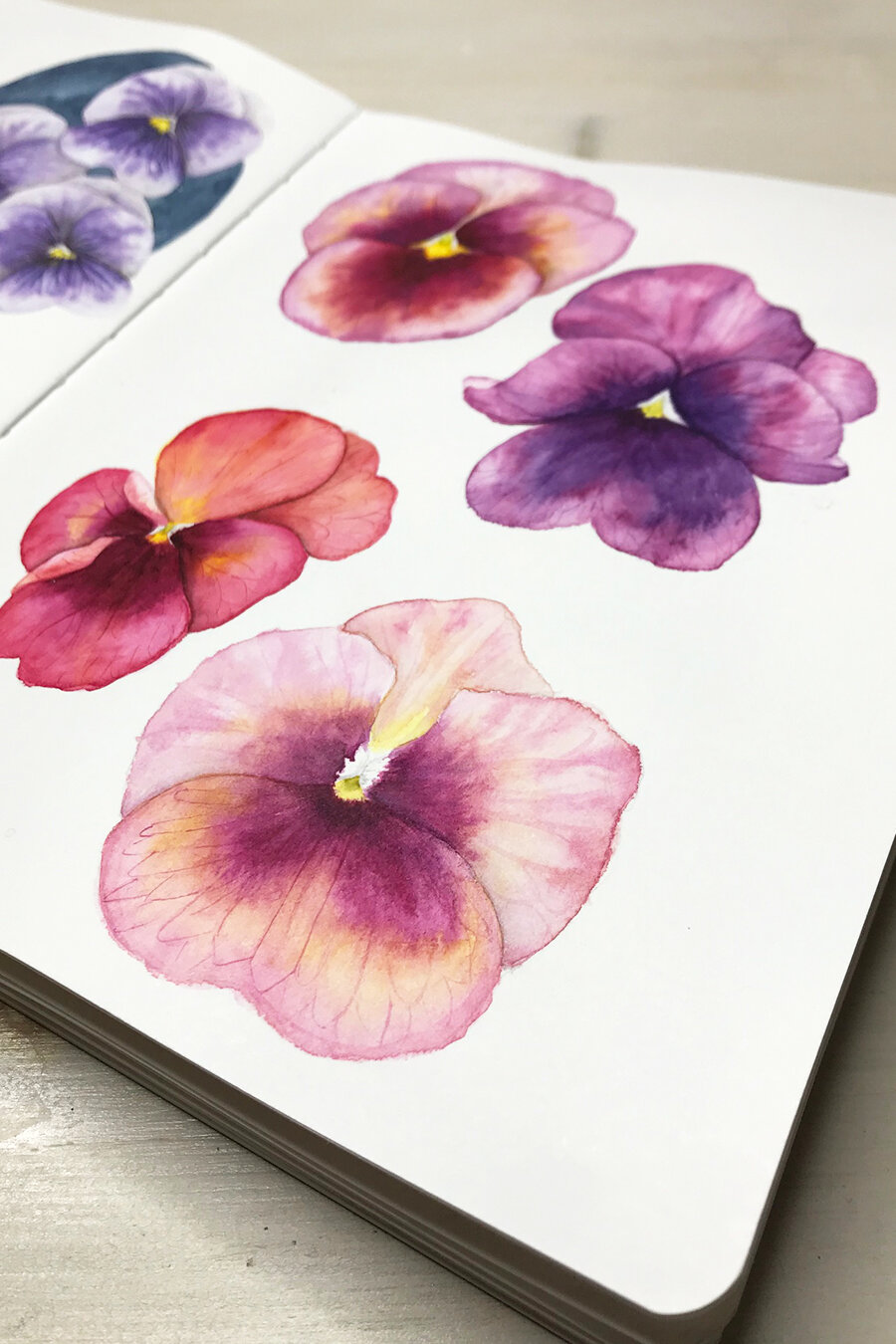 Pansy Paintings
