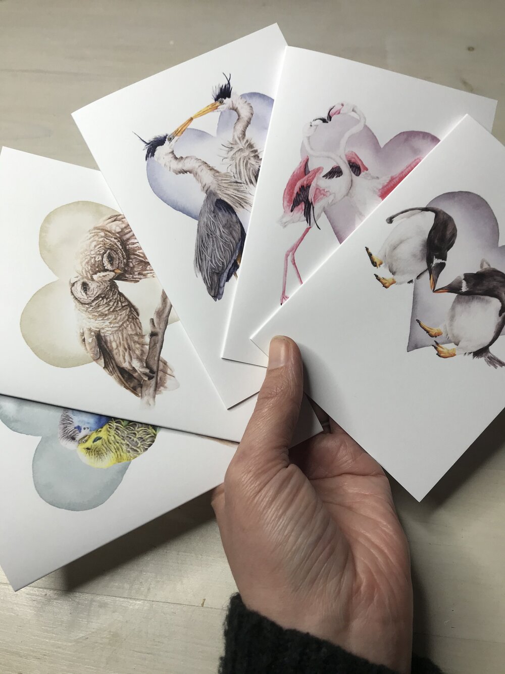 Bird Valentine's Day Cards