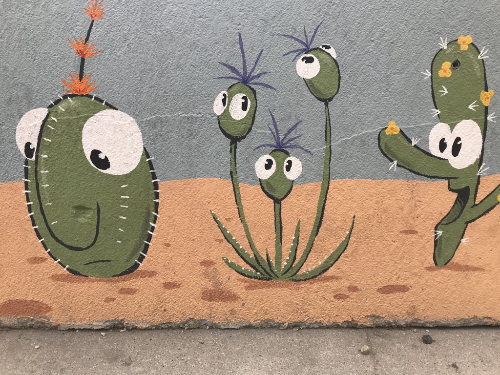 Cactus Mural in Salida, CO