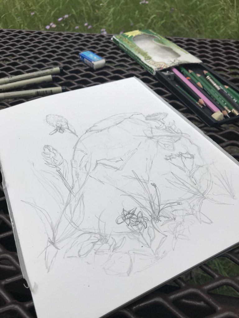 Wildflower and Rock Sketch