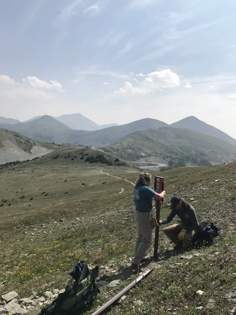 Trail Crew at Cottonwood Pass