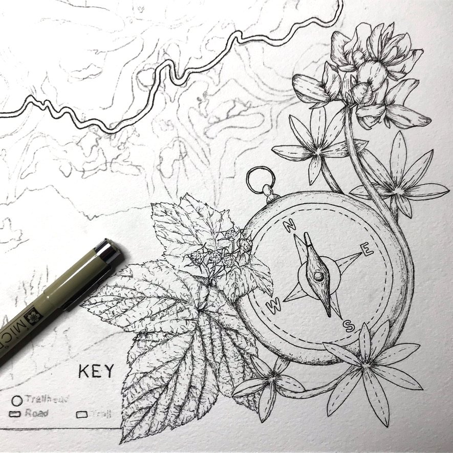 Drawing of Compass and Wildflowers