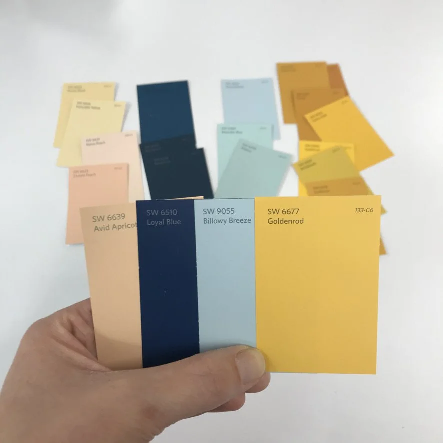 Color Palette Options