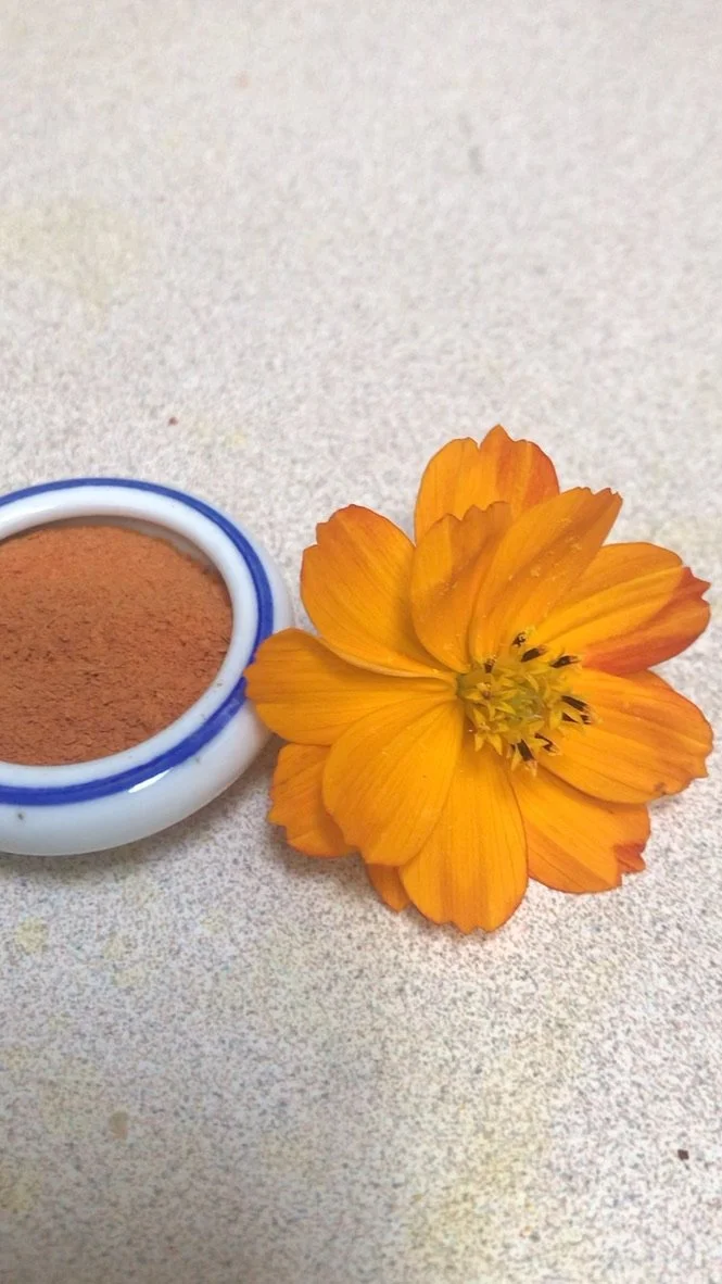 Cosmo flower and pigment